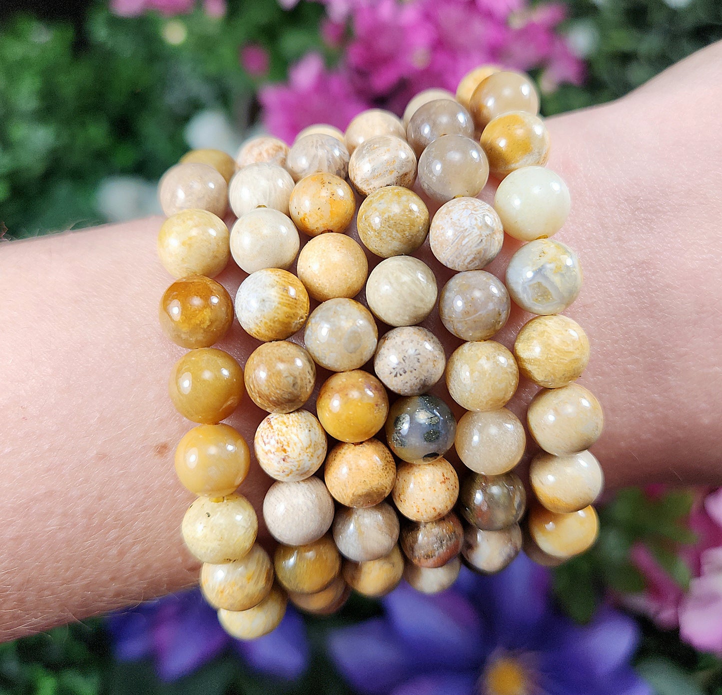 Fossilized Coral Bracelet