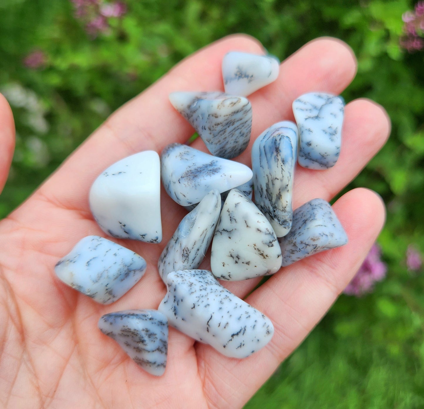 Dendritic Opal Crystal