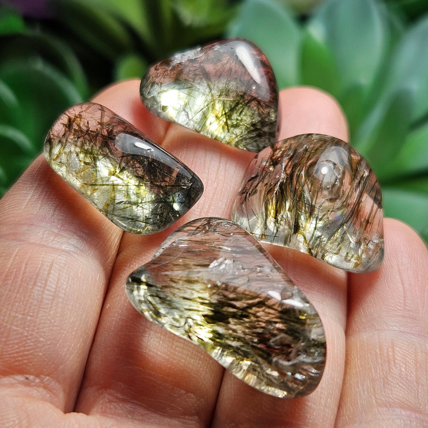 RARE Green Actinolite Quartz