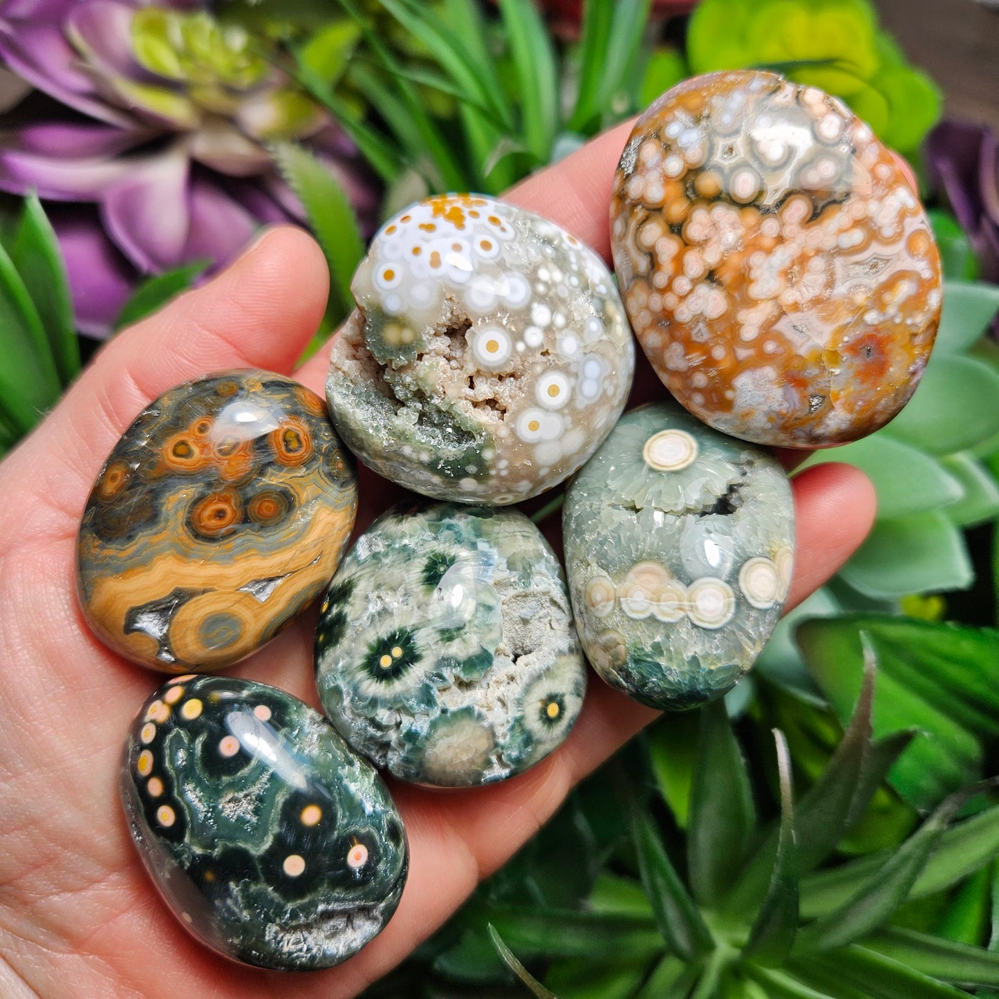 Orbicular Ocean Jasper