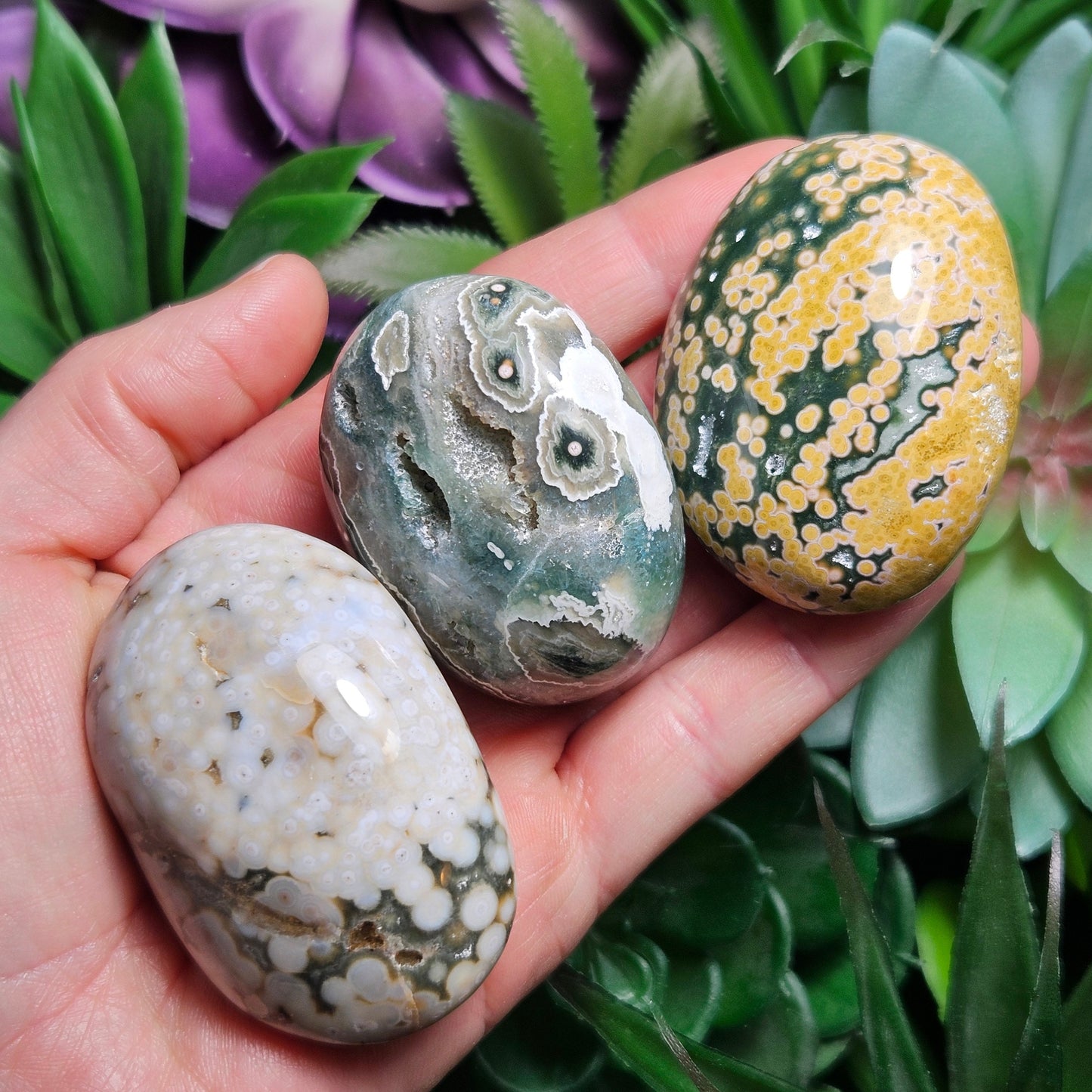Orbicular Ocean Jasper