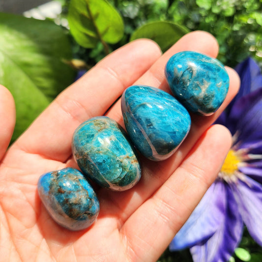 Blue Apatite Crystal