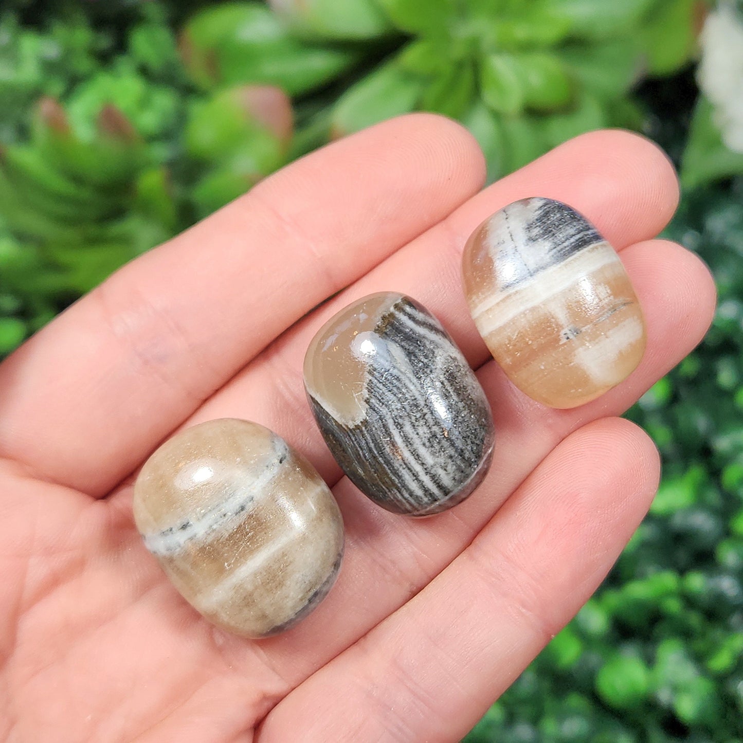 Calico Cat Calcite