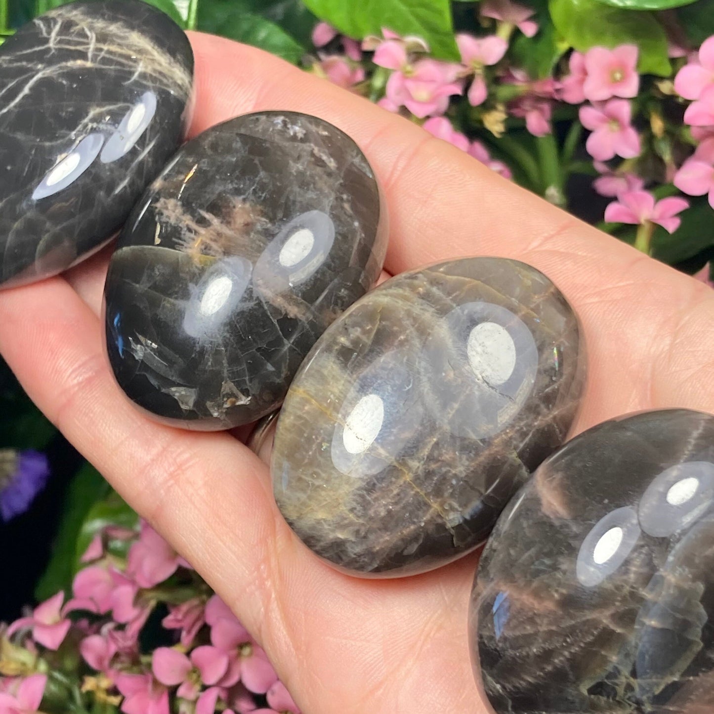 Black Moonstone