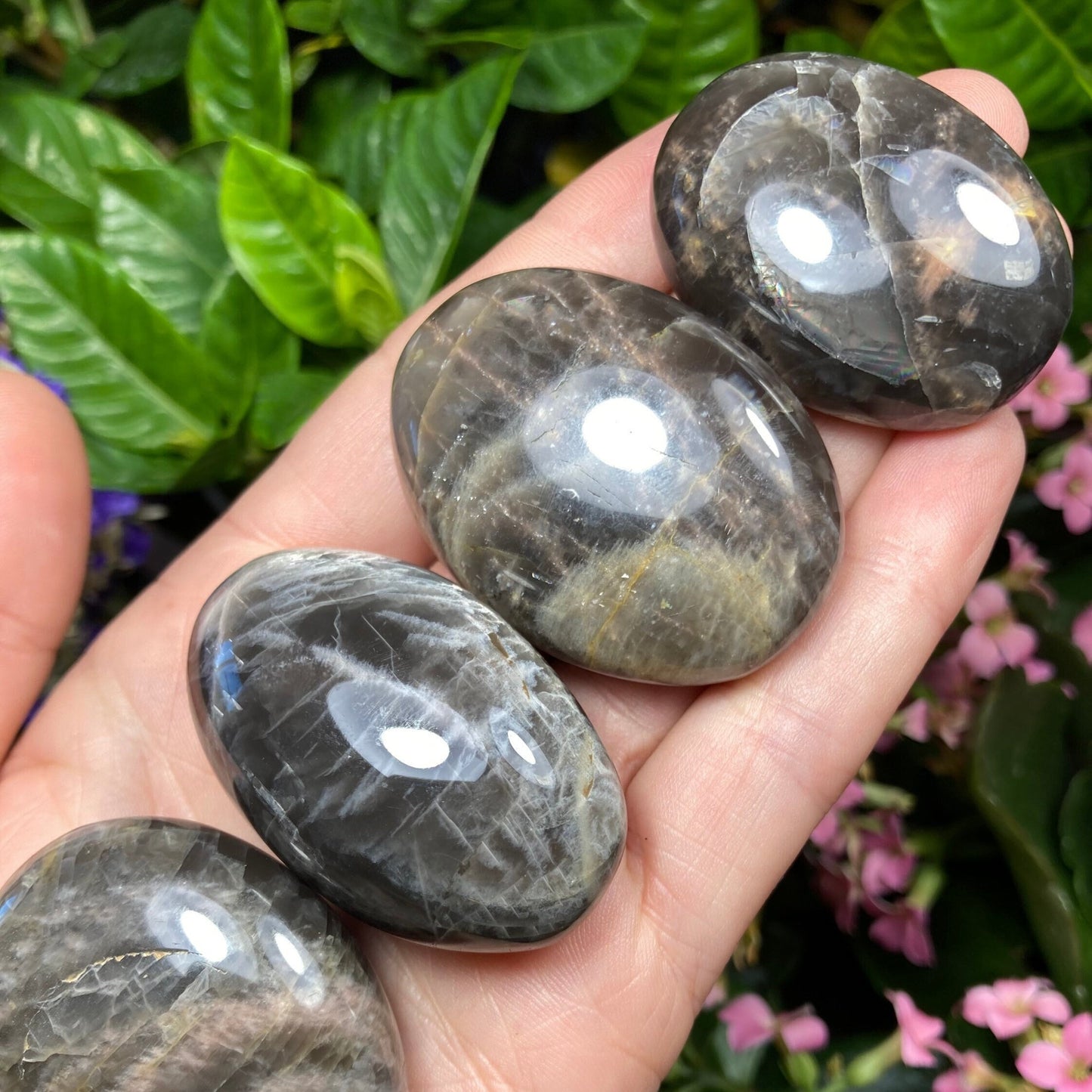 Black Moonstone