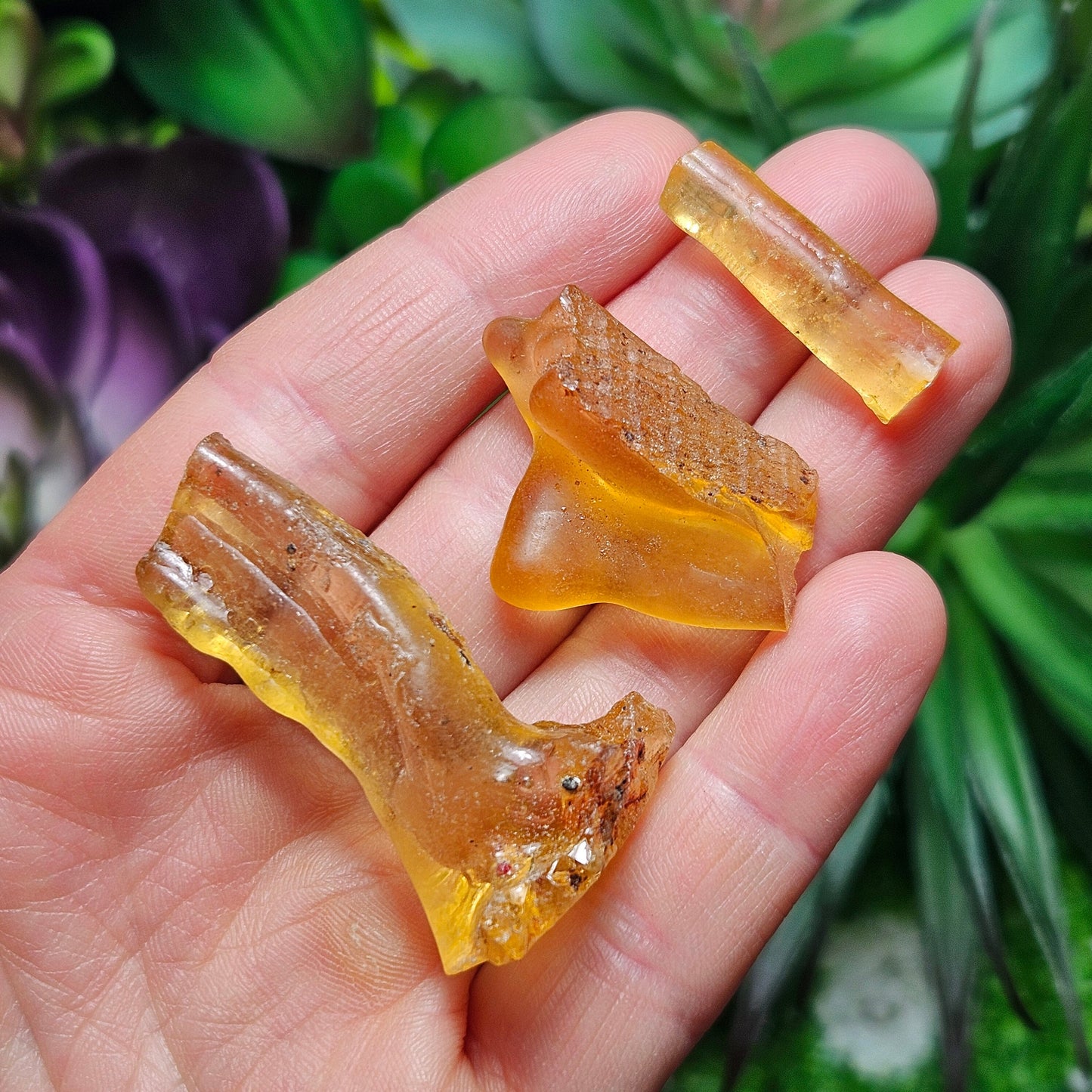 Natural Amber Specimen