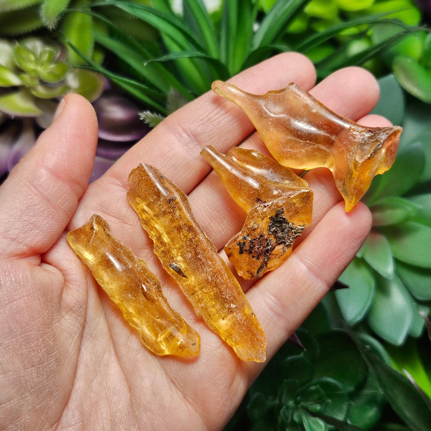 Natural Amber Specimen