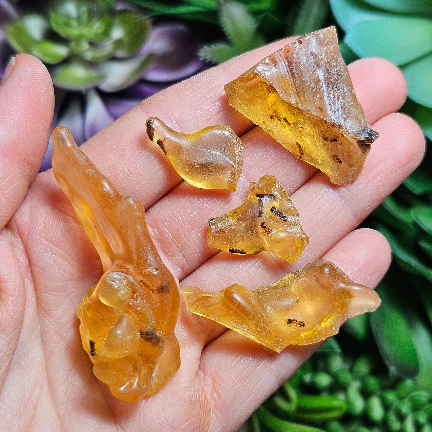 Amber with Insects