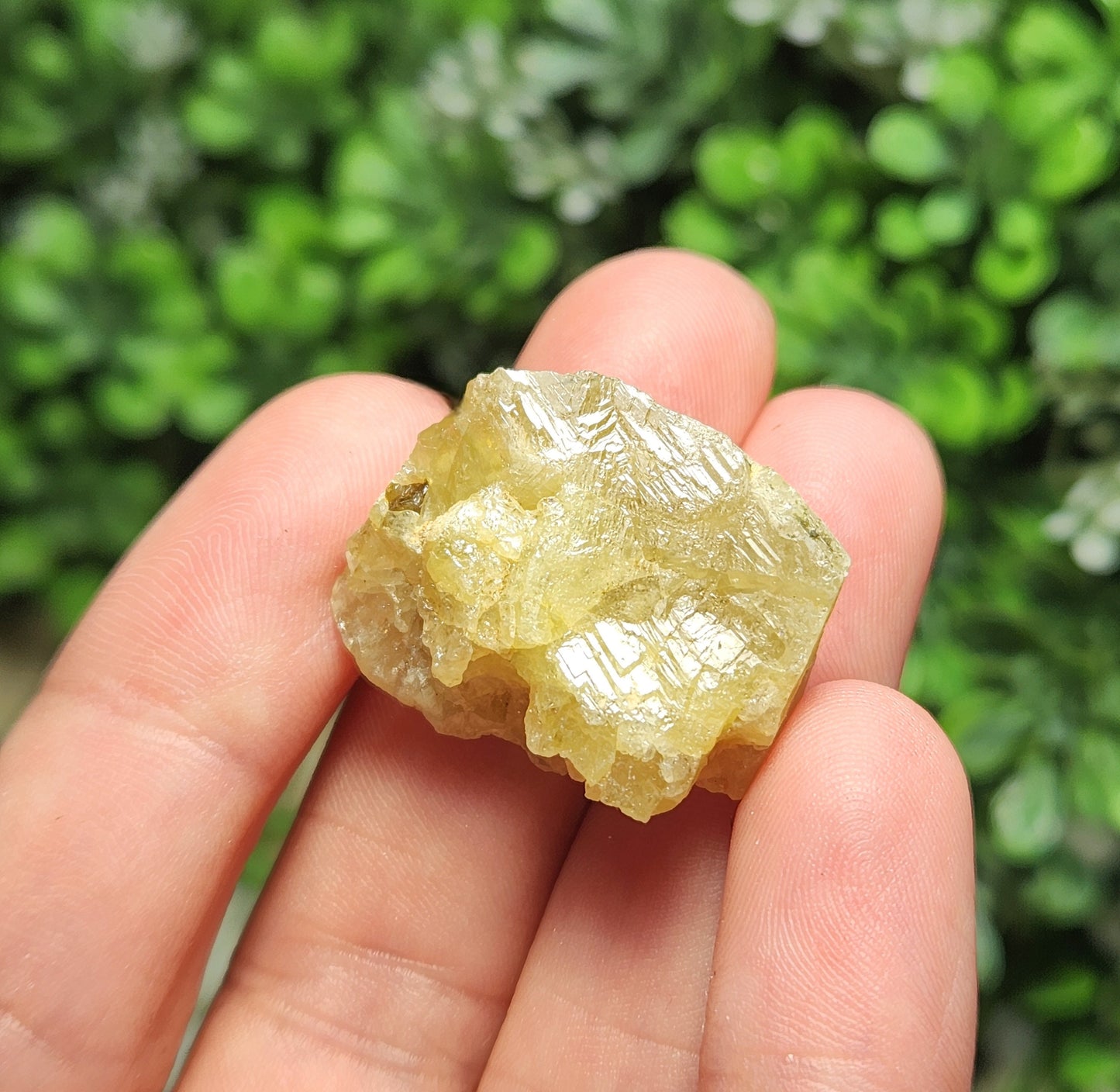 Titanite Crystal