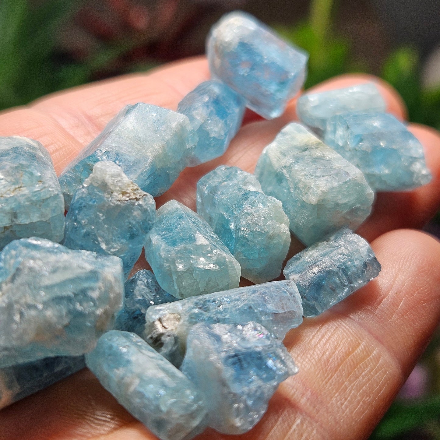 Aquamarine *OLD STOCK* Crystals