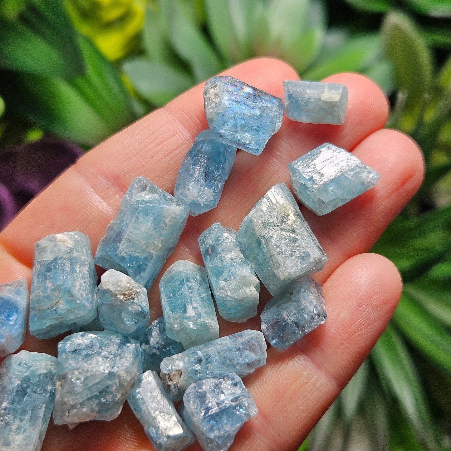 Aquamarine *OLD STOCK* Crystals