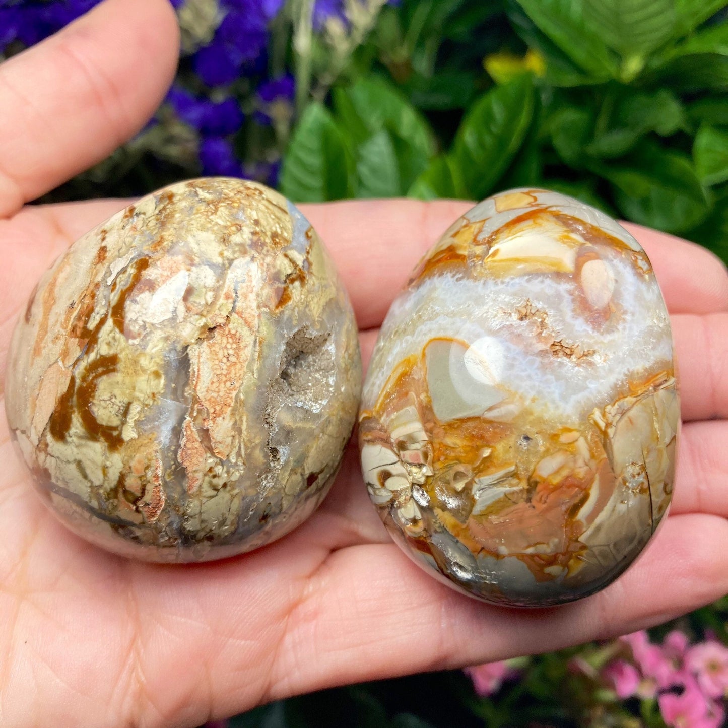 Ibis Jasper Crystal