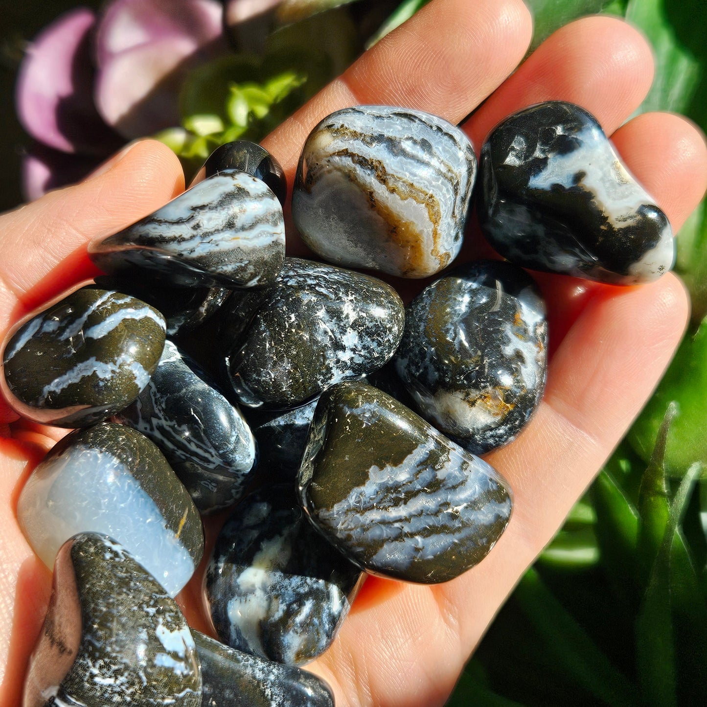 Sardonyx Crystal