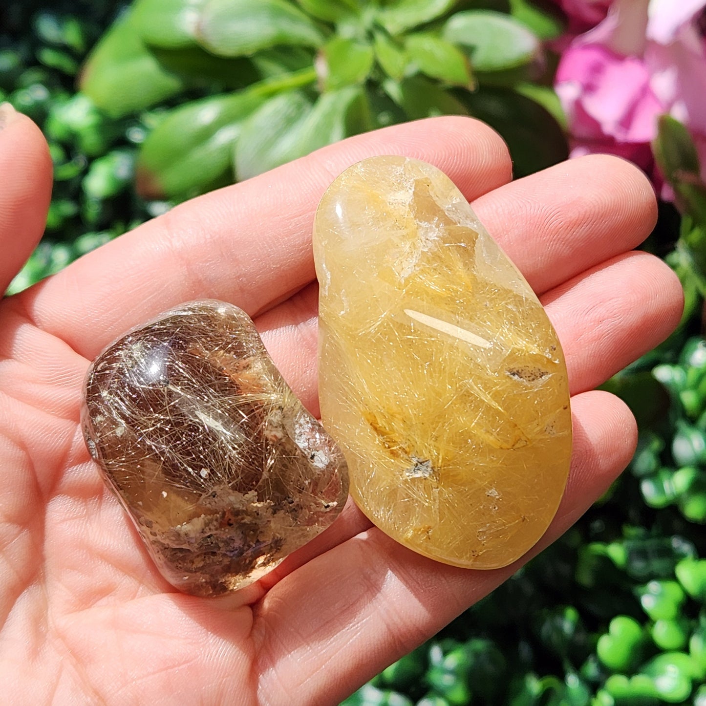 JUMBO Rutilated Quartz