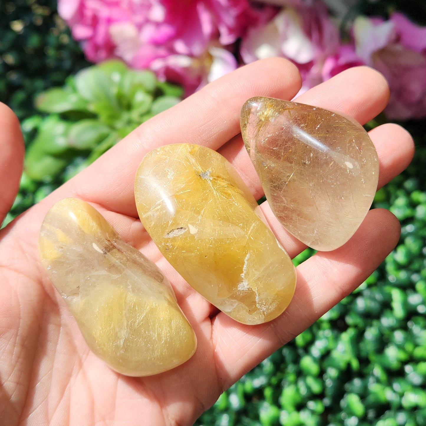 JUMBO Rutilated Quartz