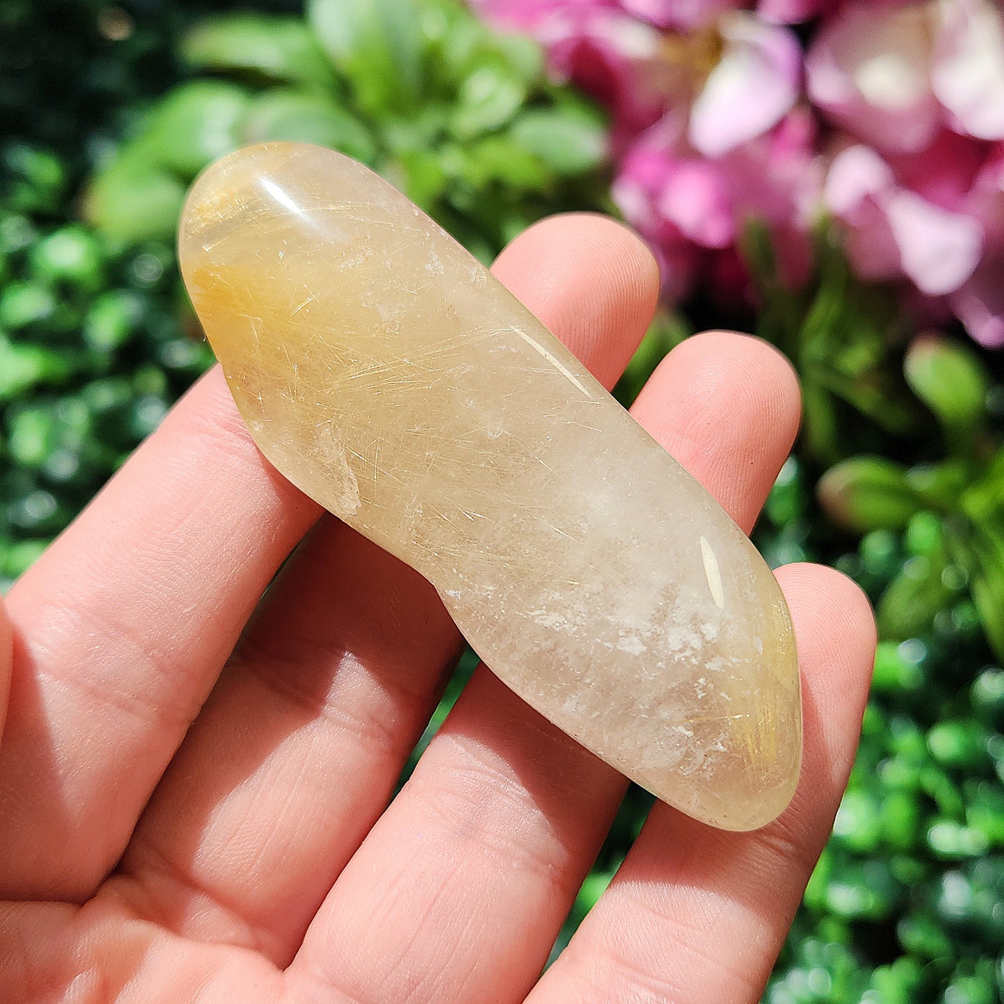 JUMBO Rutilated Quartz