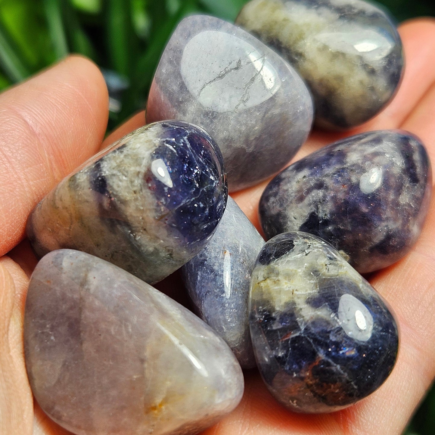 Iolite Tumbled Stone