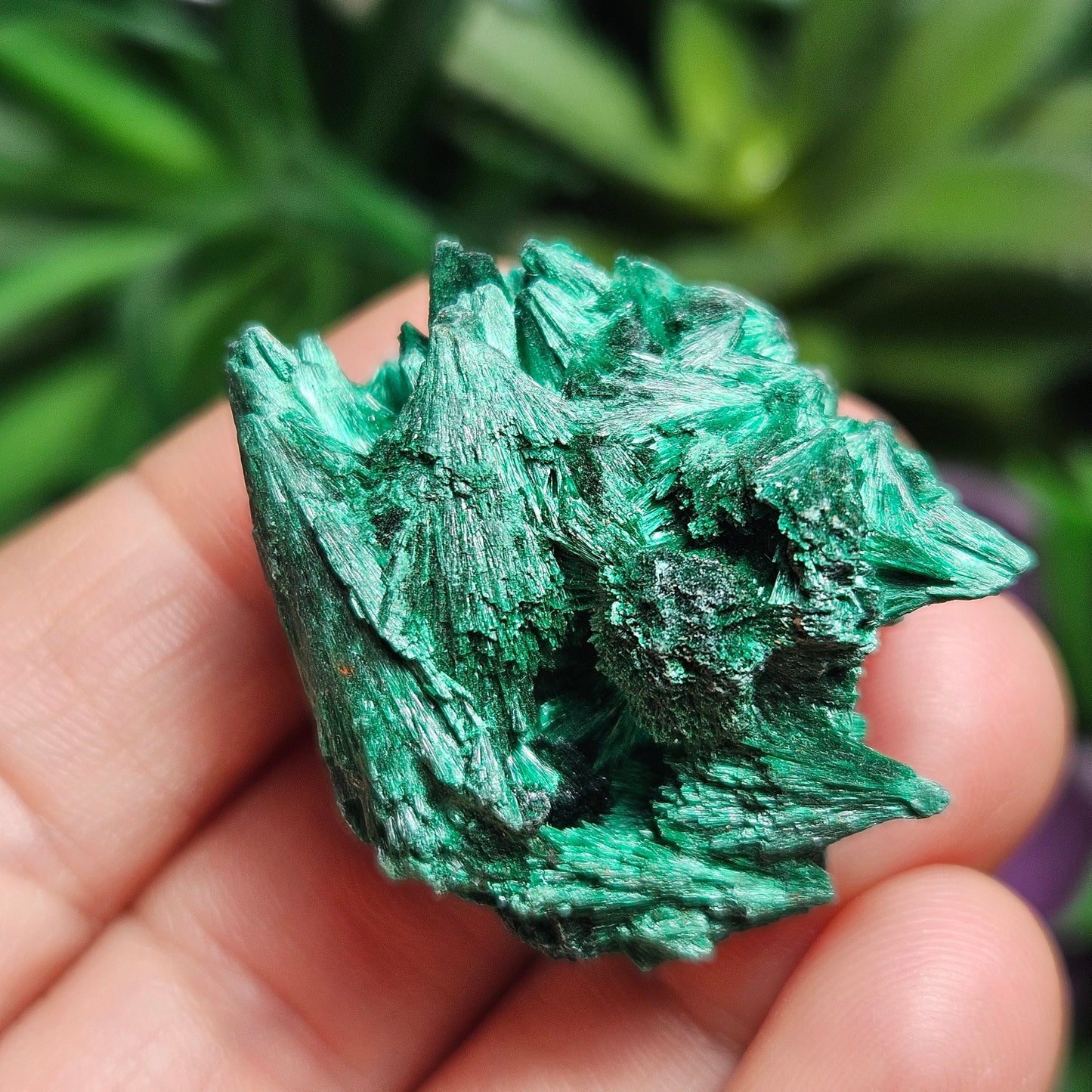 Fibrous Malachite