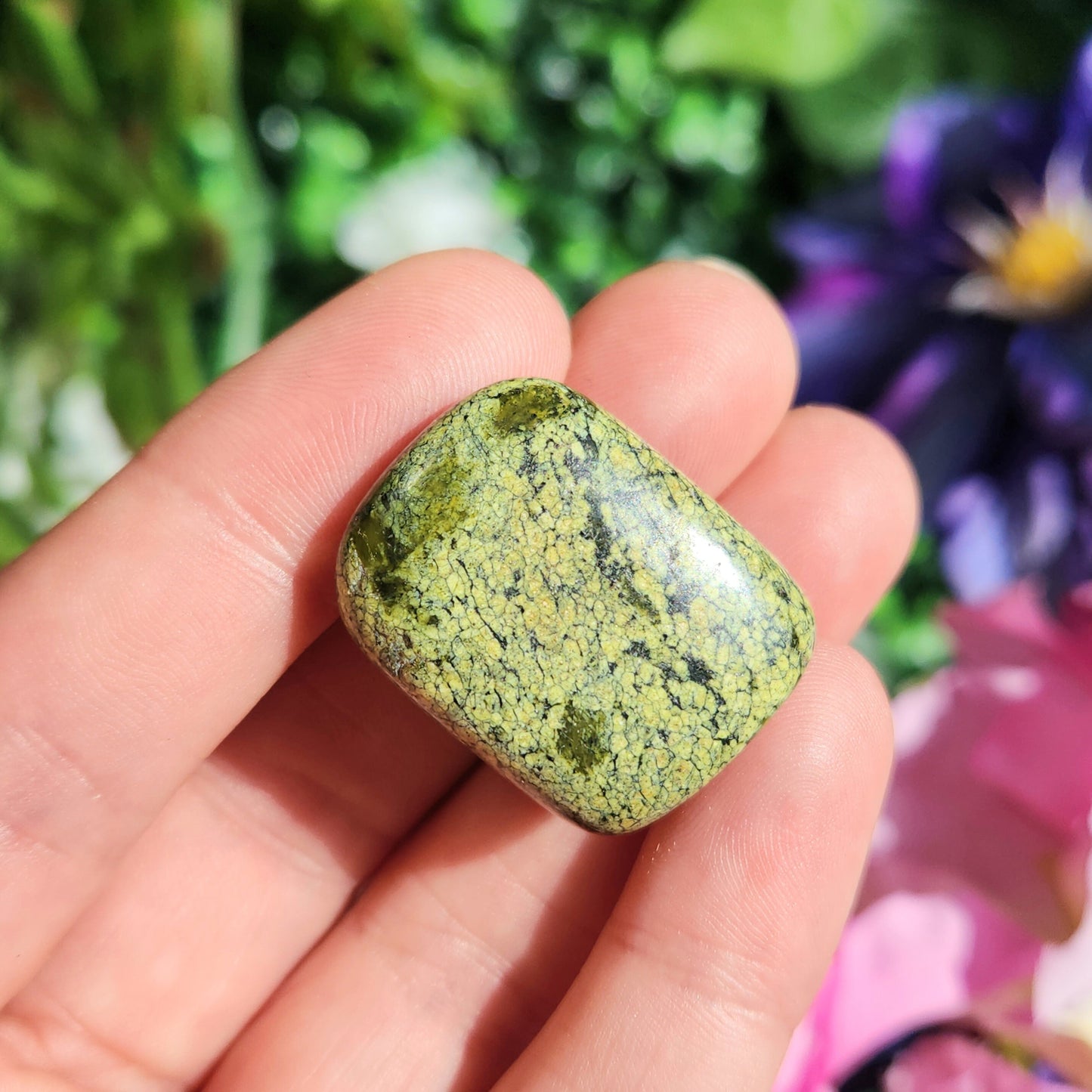 Asterite Serpentine