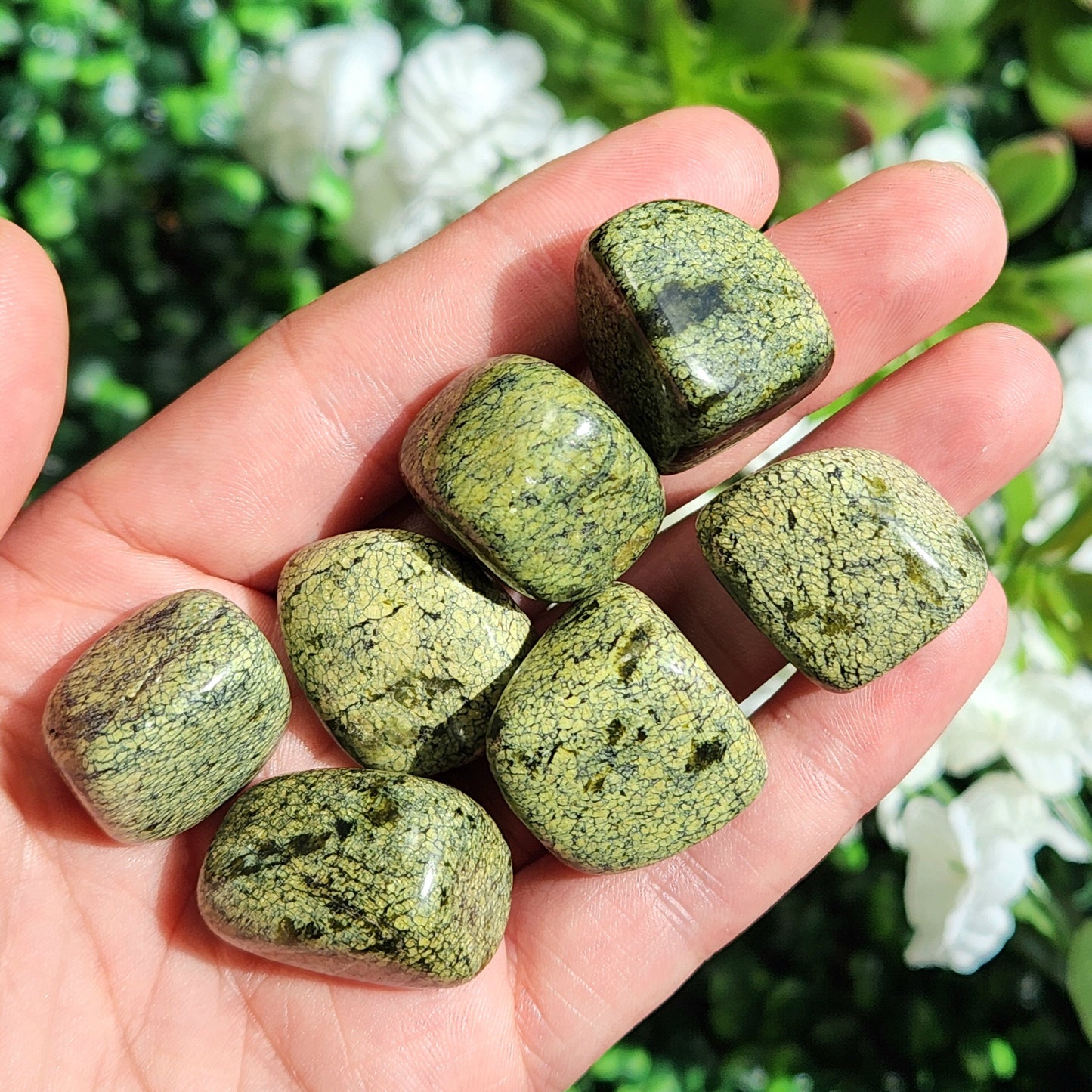 Asterite Serpentine