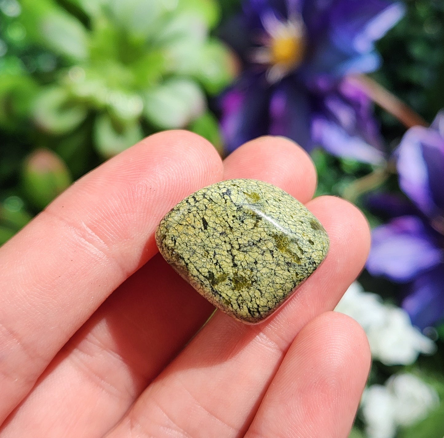 Asterite Serpentine
