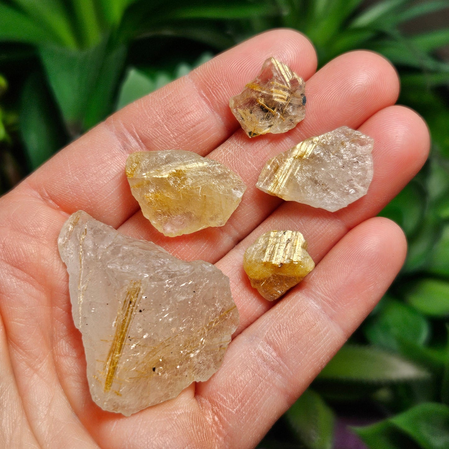 Raw Rutilated Quartz
