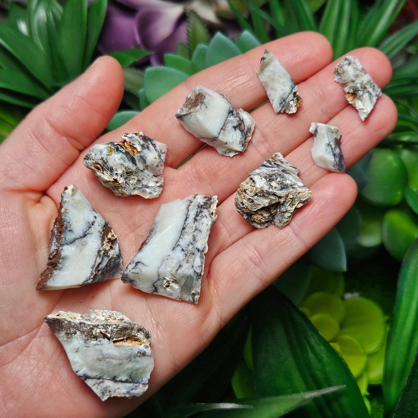 RARE Mount Shasta Opal Specimen