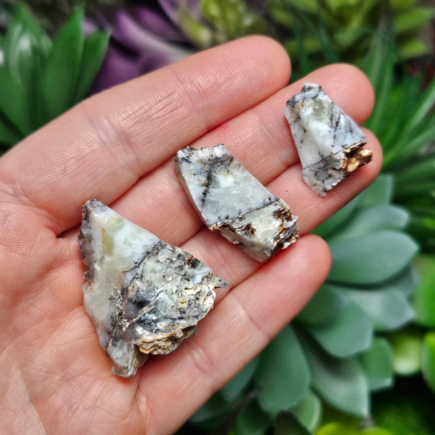 RARE Mount Shasta Opal Specimen