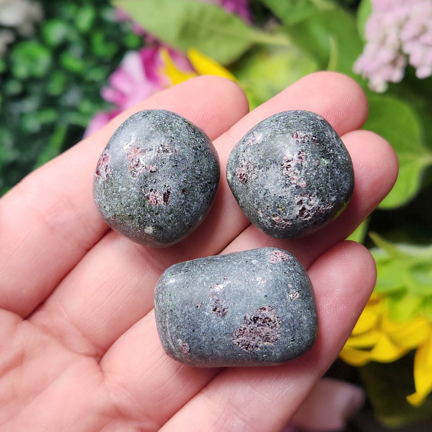 Anyolite Stone
