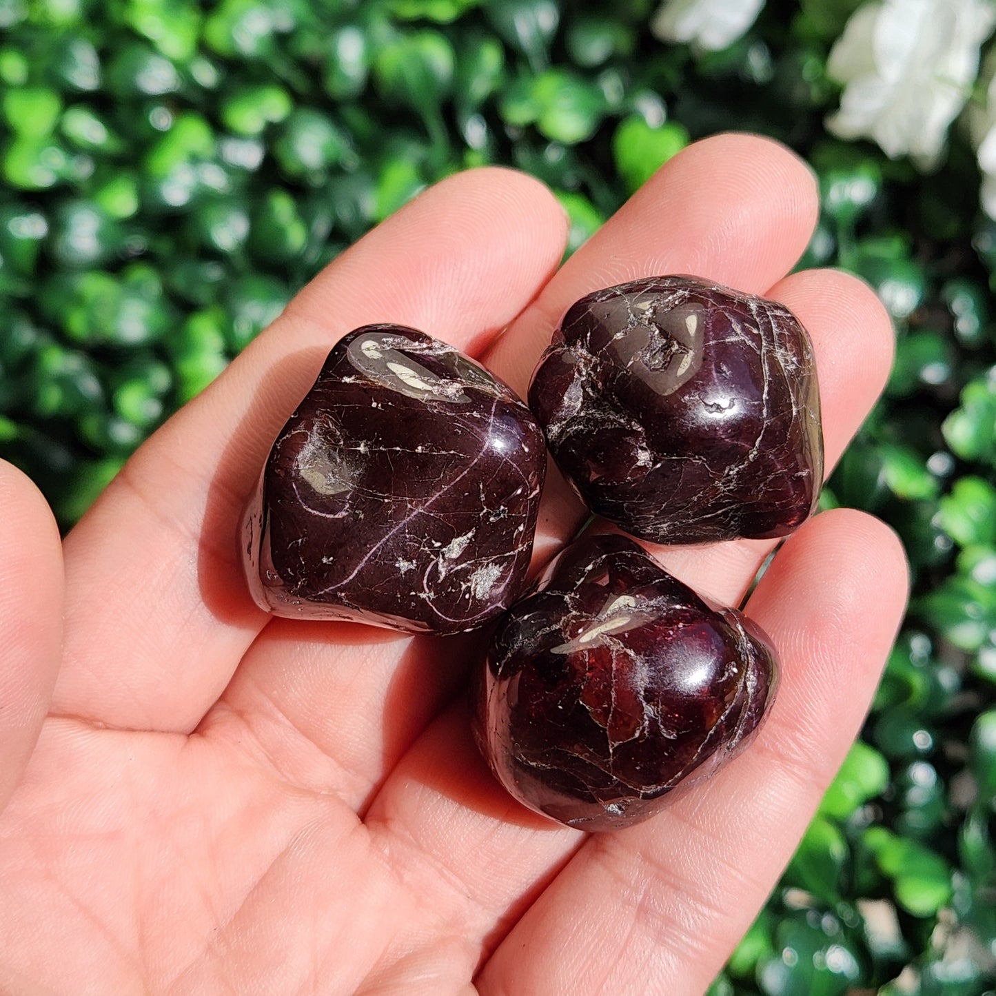 Blood Red Garnet Crystal