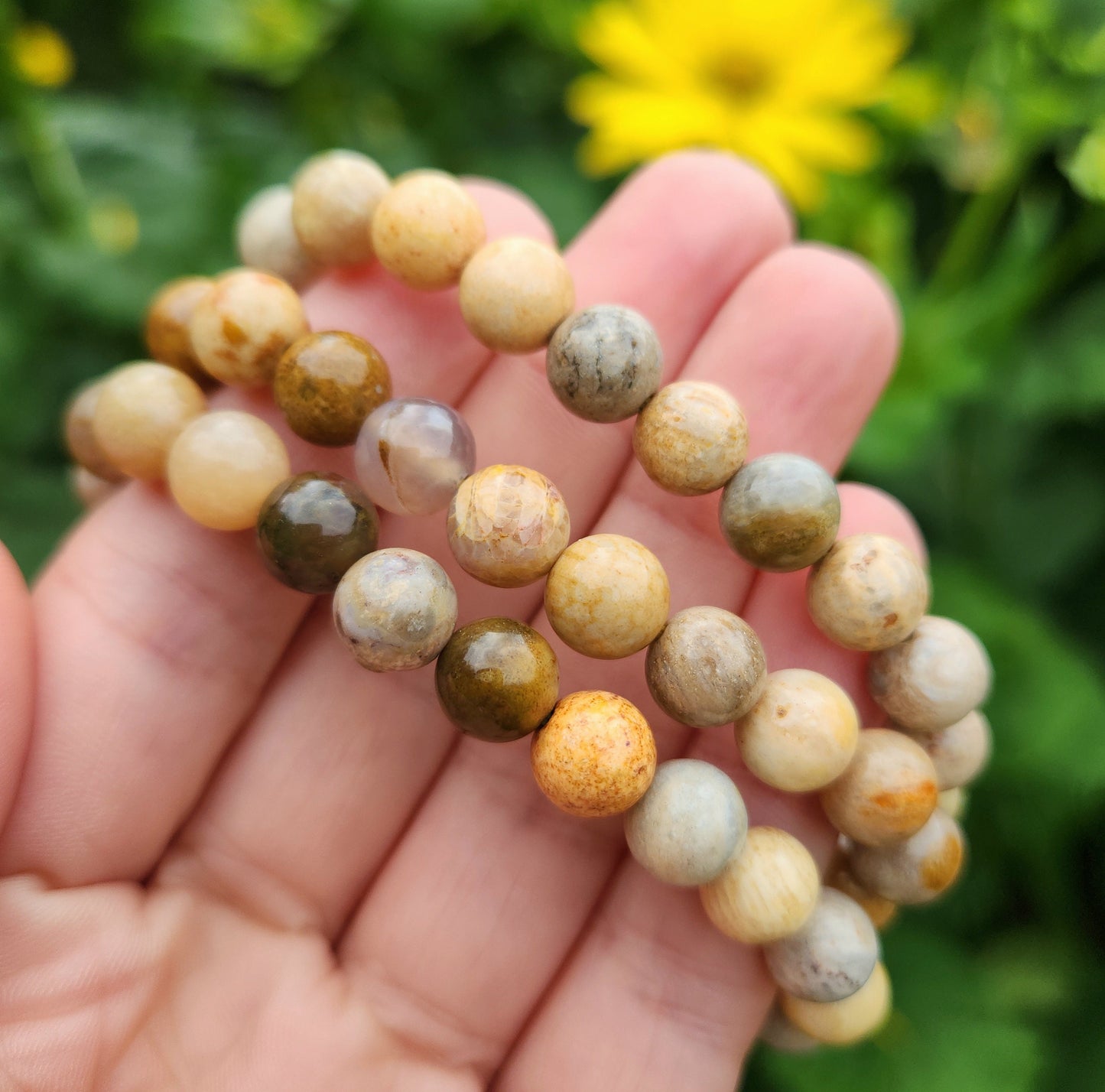 Fossilized Coral Bracelet