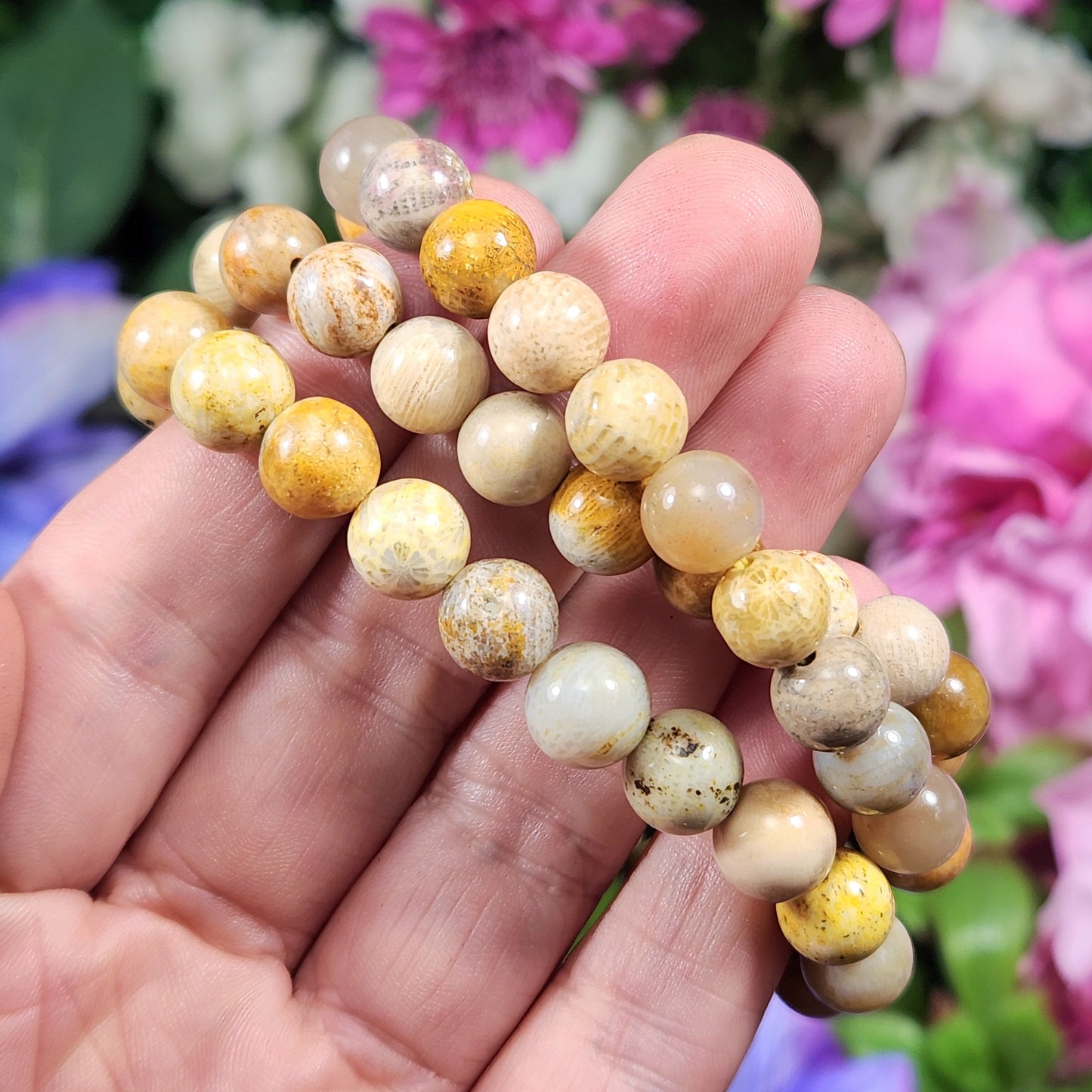 Fossilized Coral Bracelet
