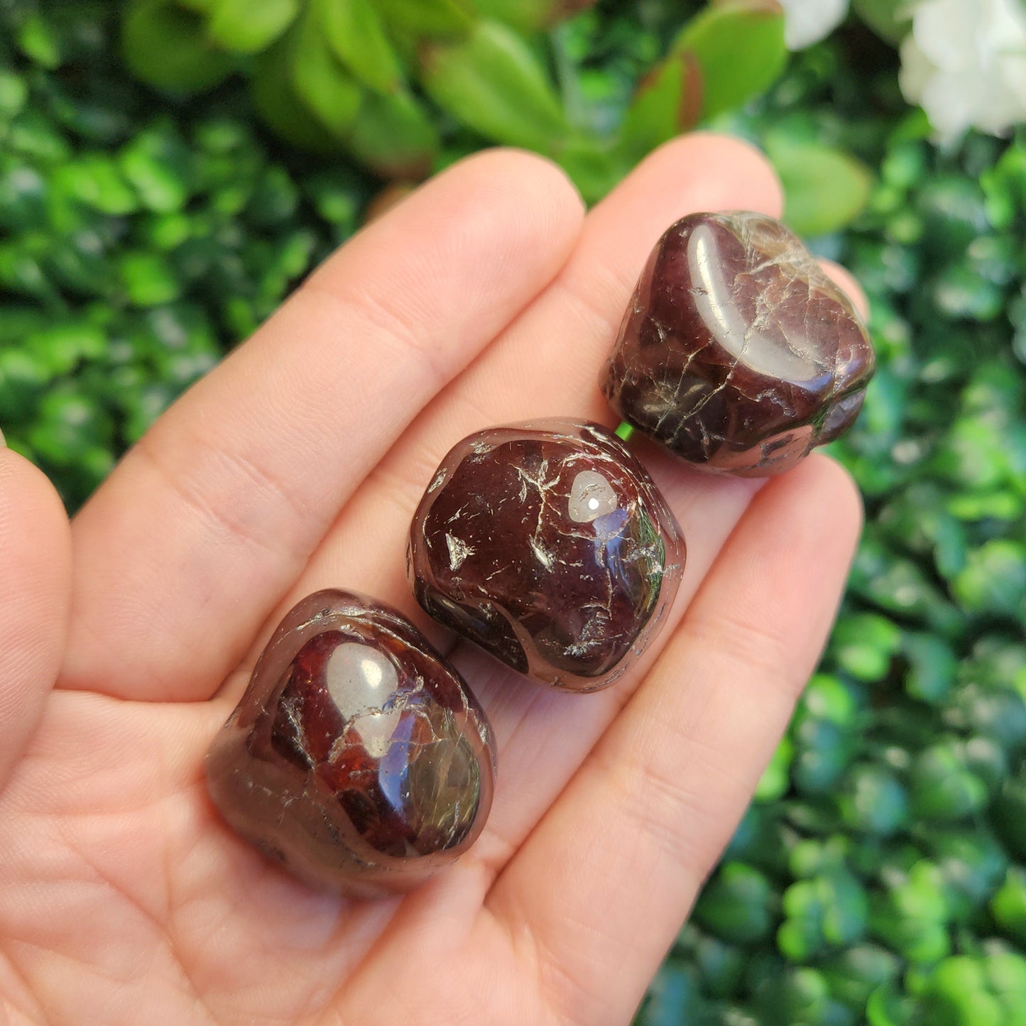 Blood Red Garnet Crystal