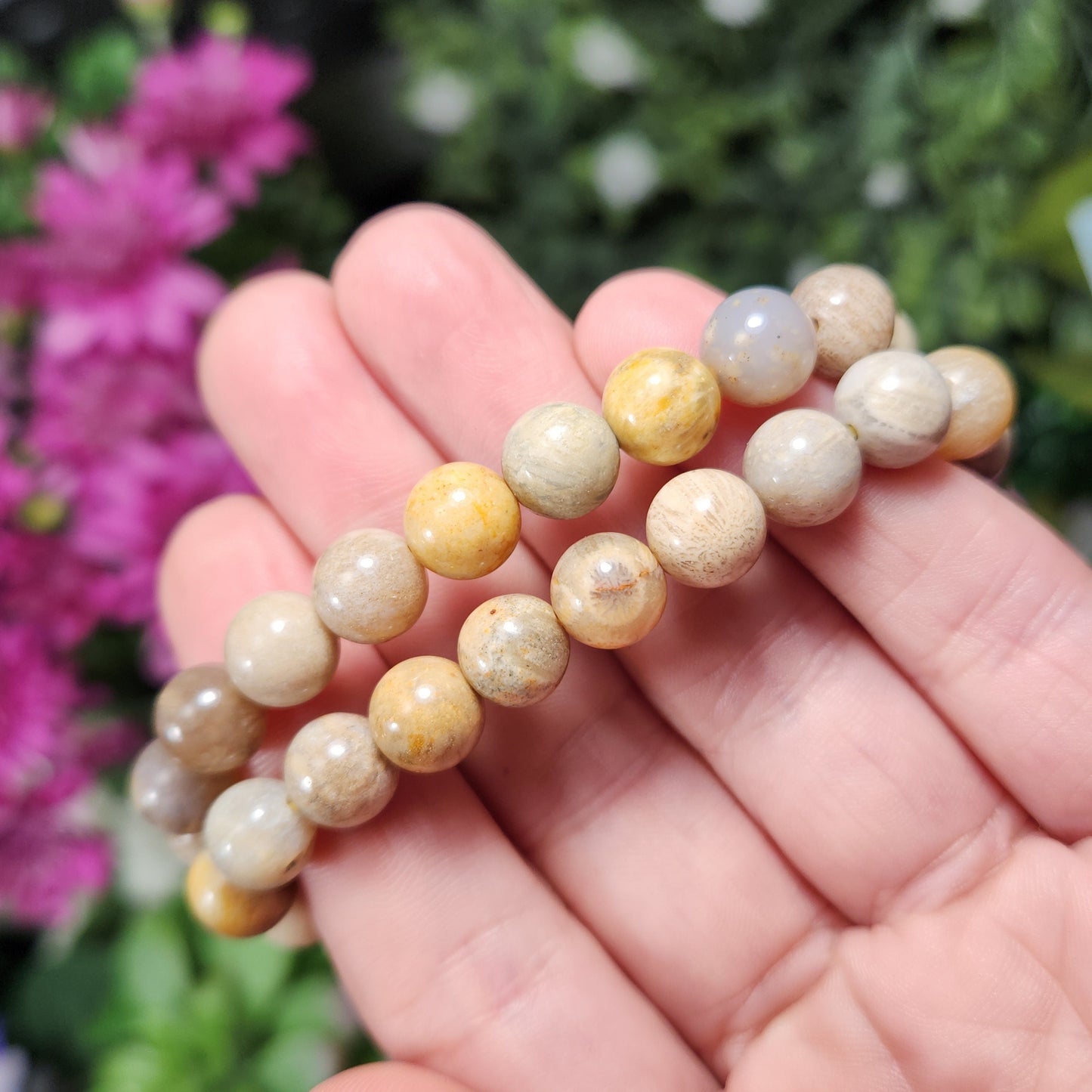Fossilized Coral Bracelet