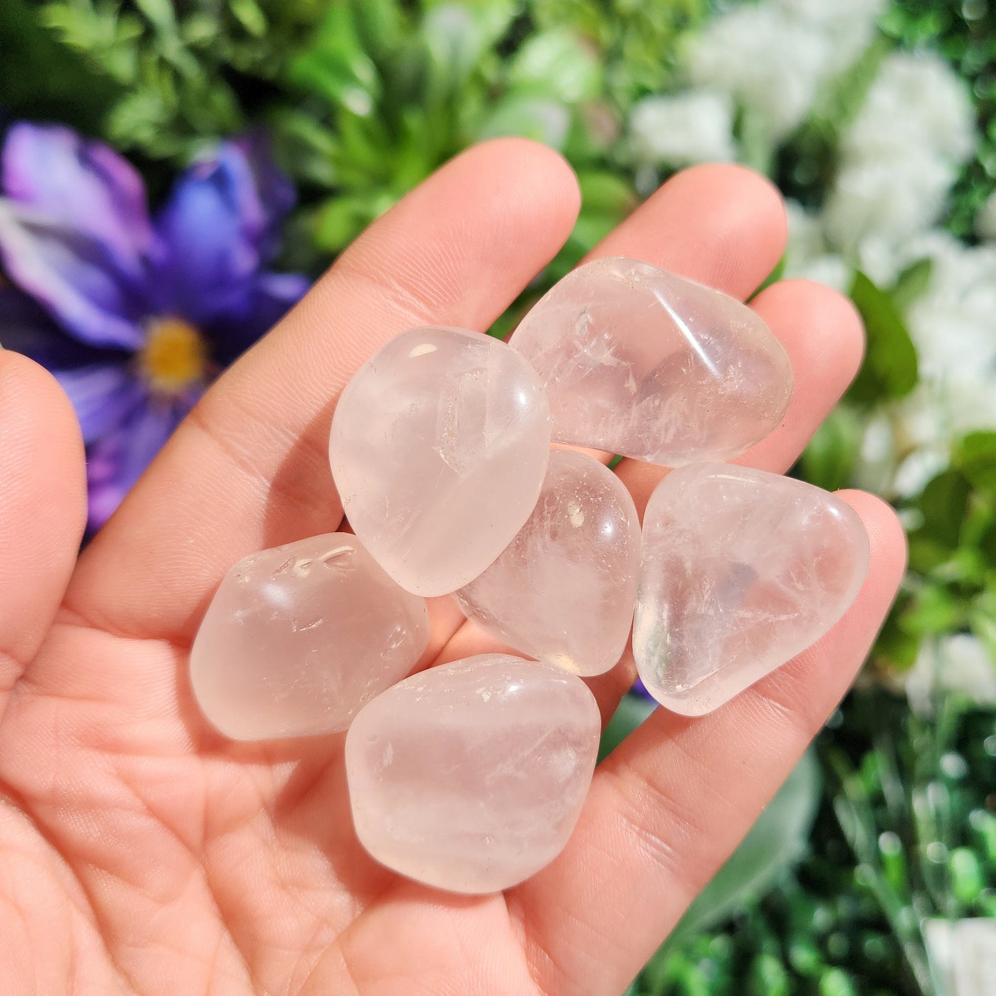 Girasol Rose Quartz