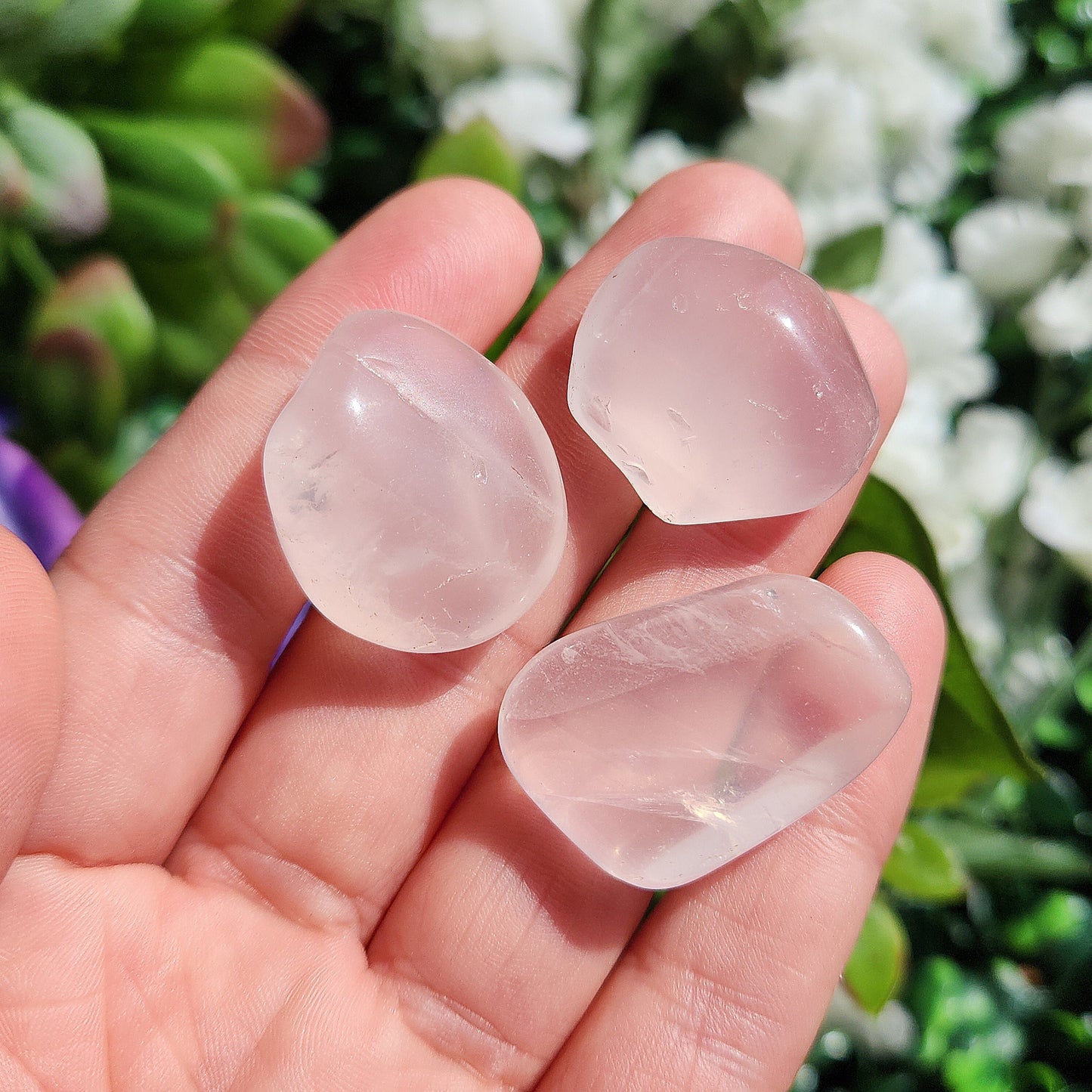 Girasol Rose Quartz
