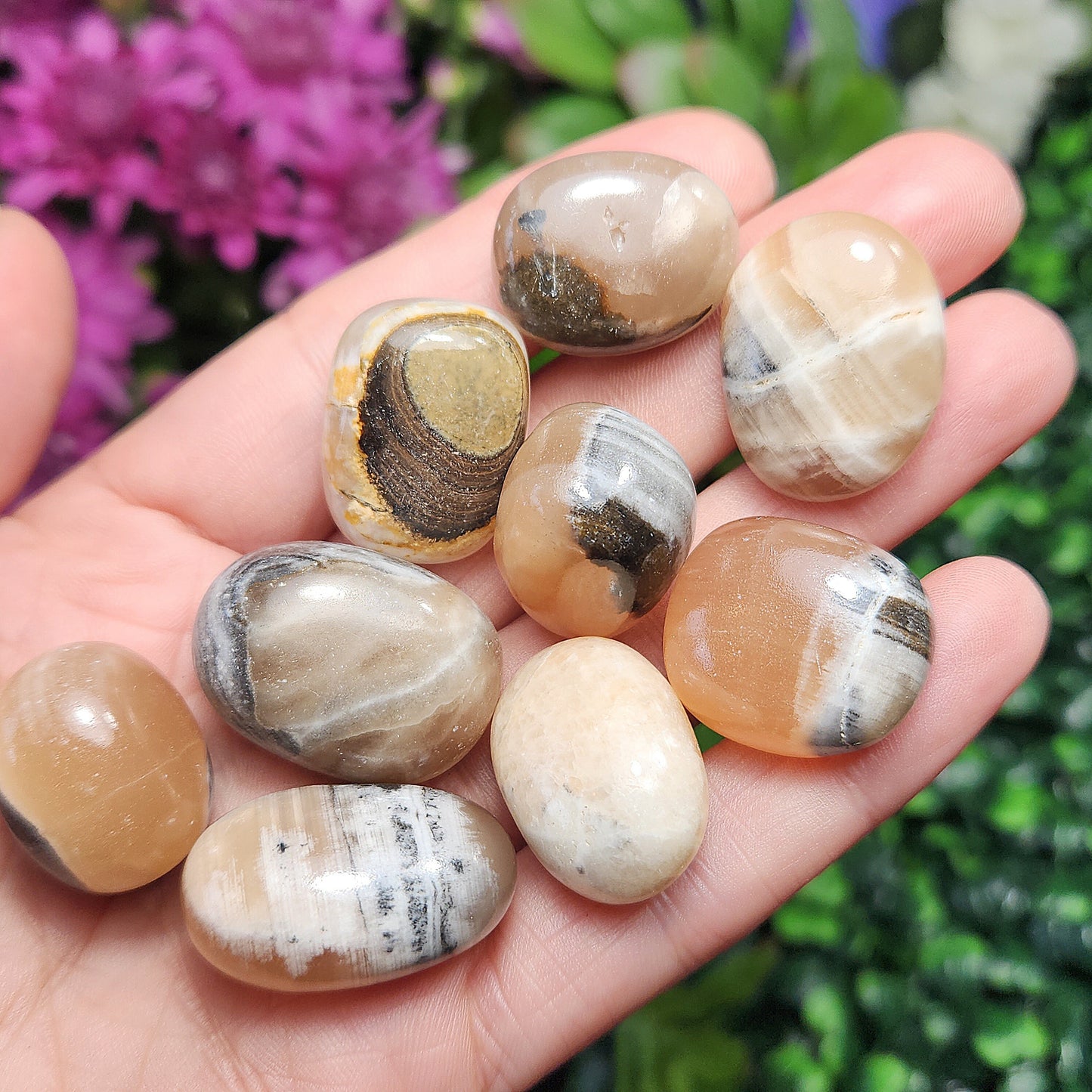 Calico Cat Calcite