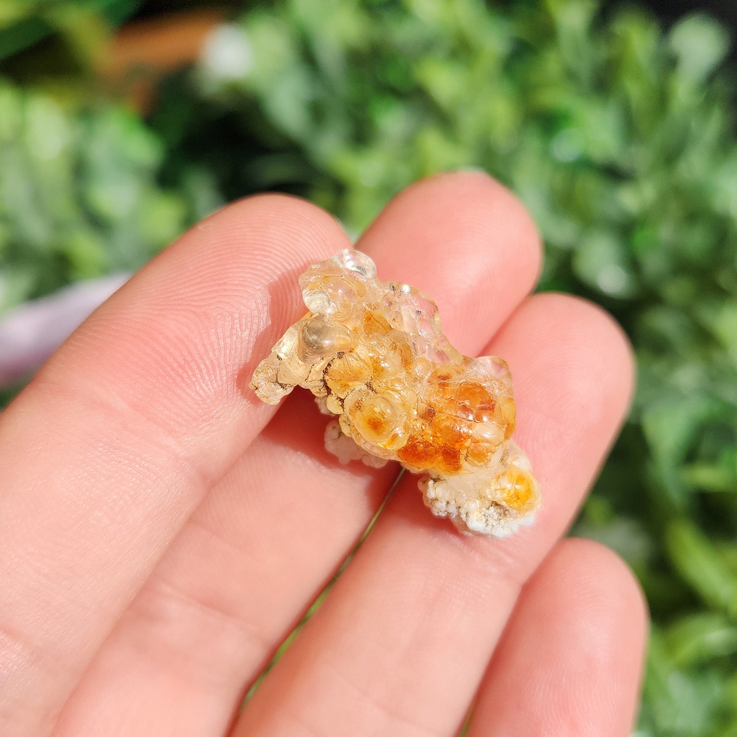 Golden Hyalite Opal