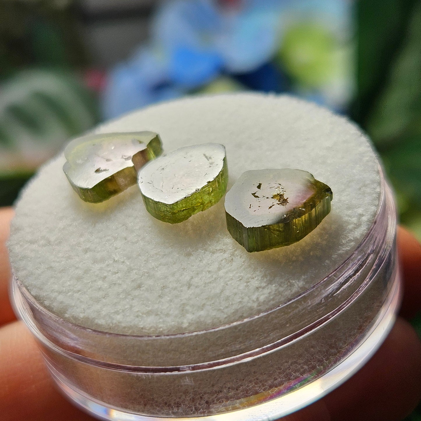 Watermelon Tourmaline Slice