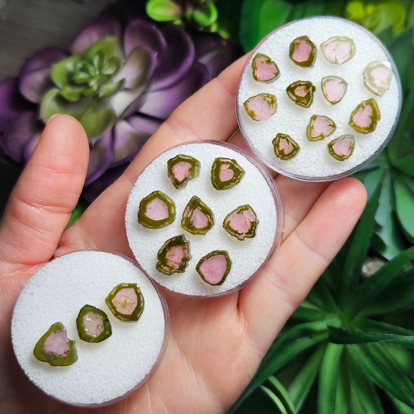 Watermelon Tourmaline Slice