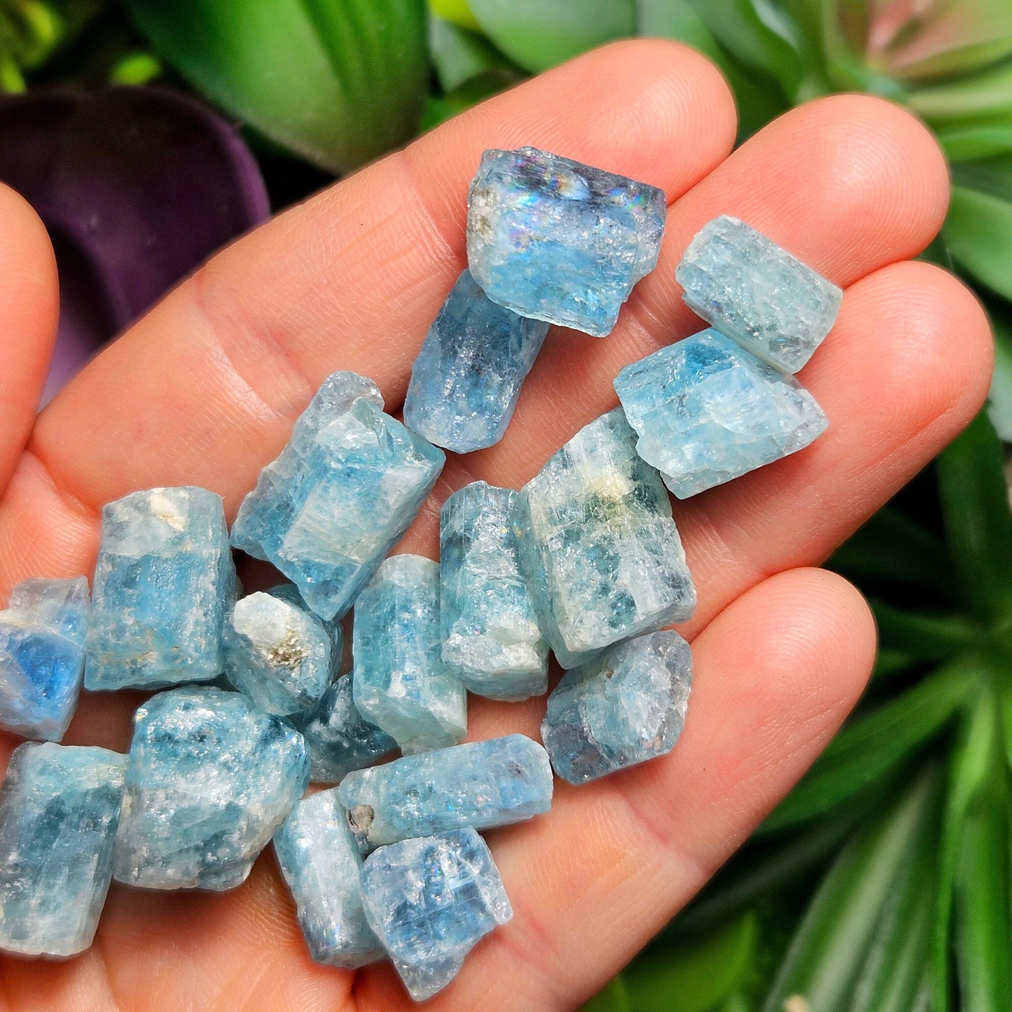 Aquamarine *OLD STOCK* Crystals
