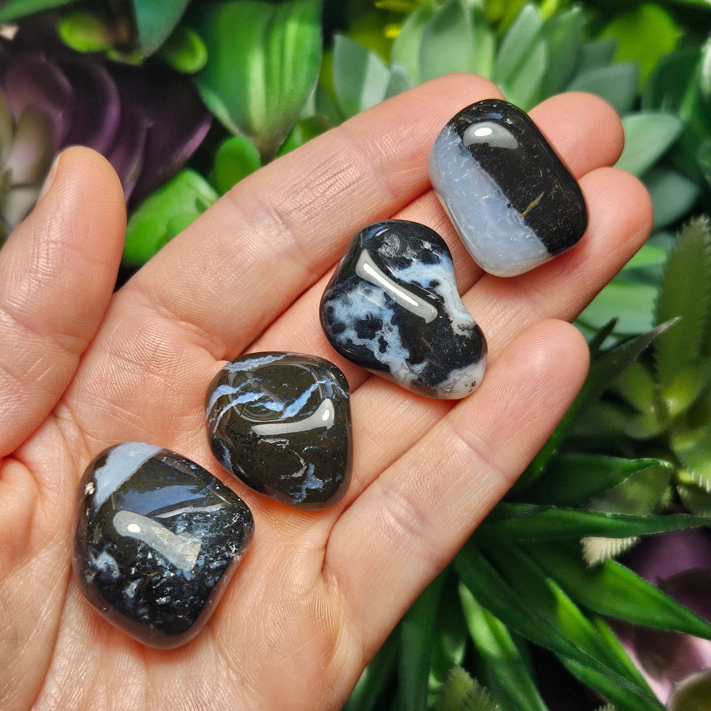 Sardonyx Crystal