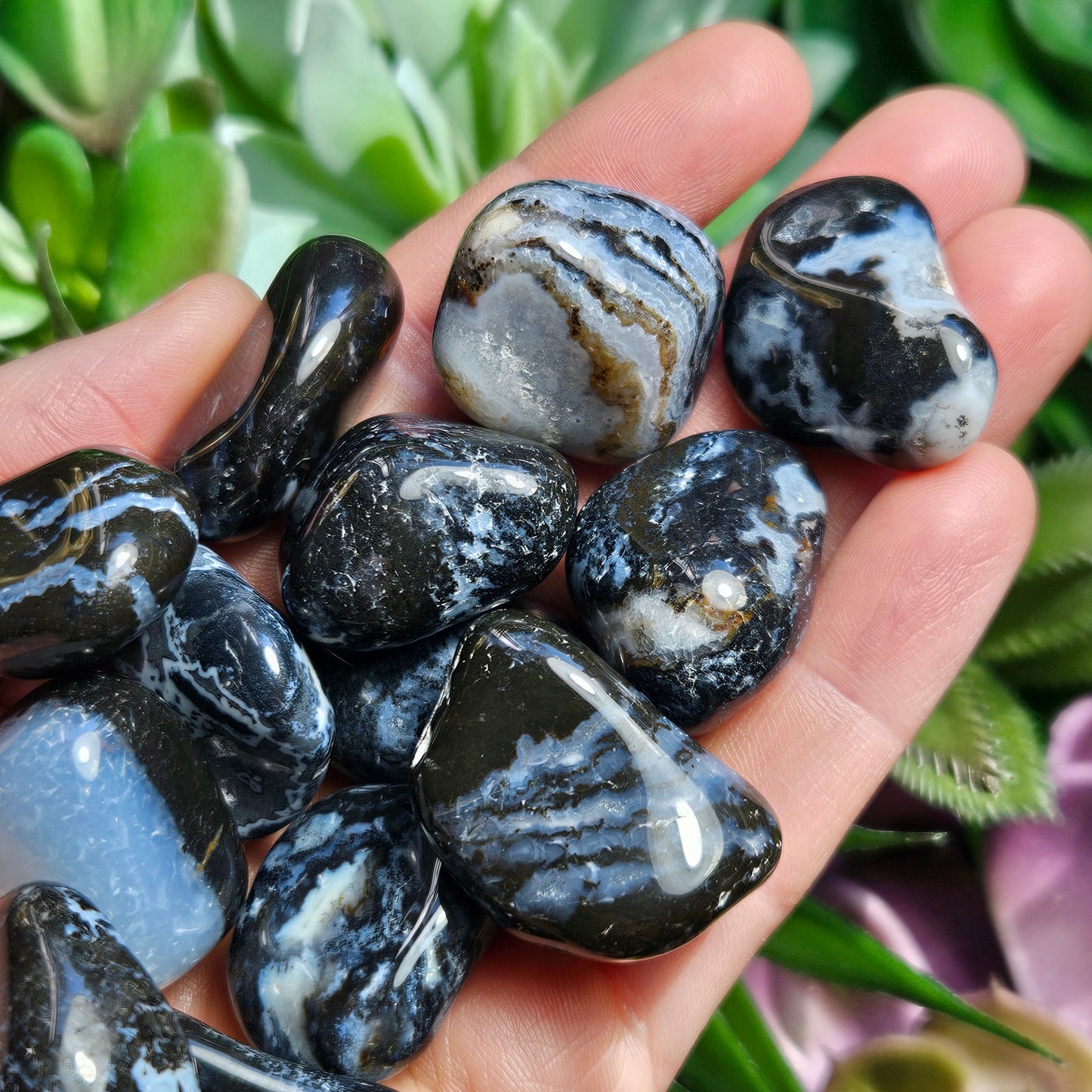 Sardonyx Crystal