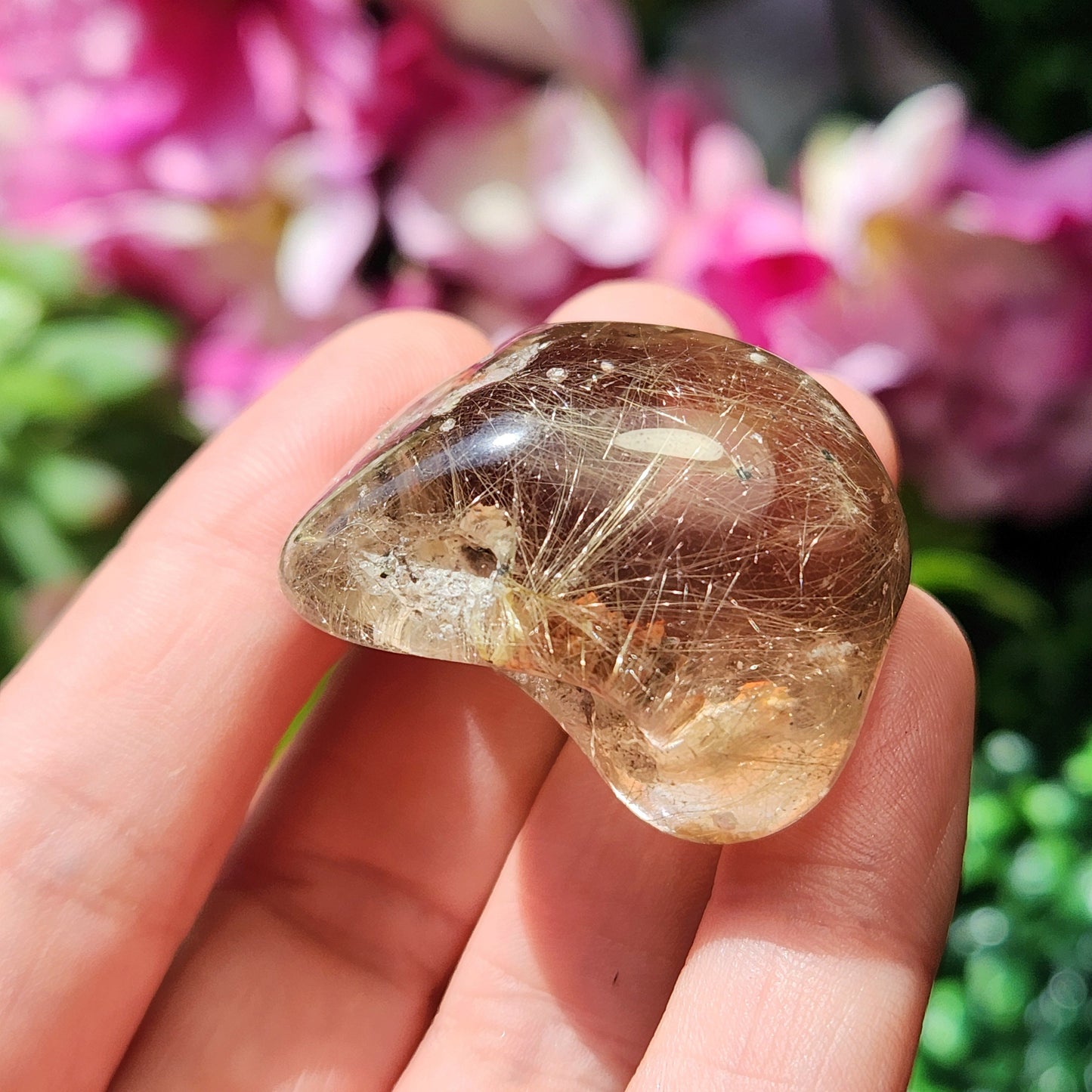JUMBO Rutilated Quartz