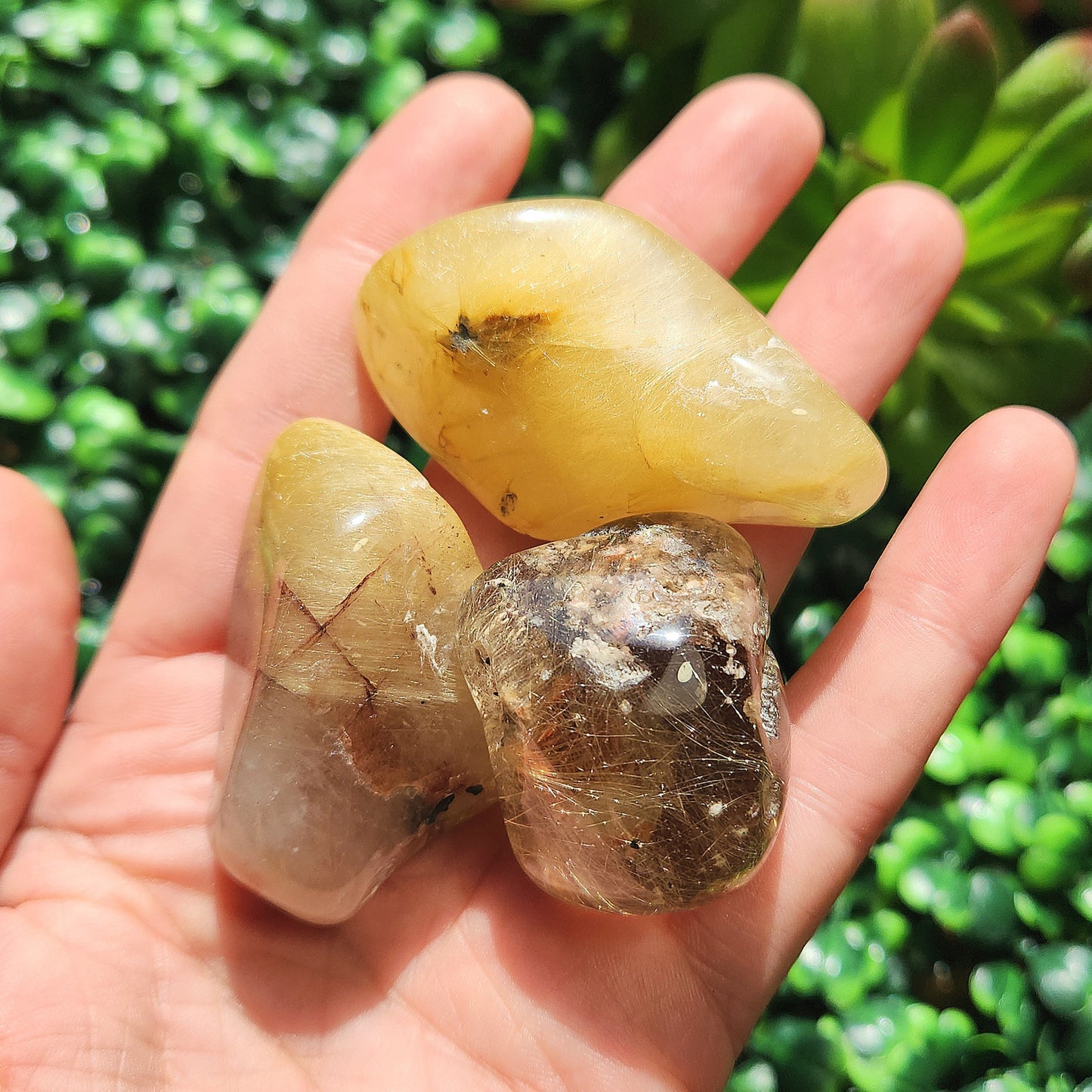 JUMBO Rutilated Quartz