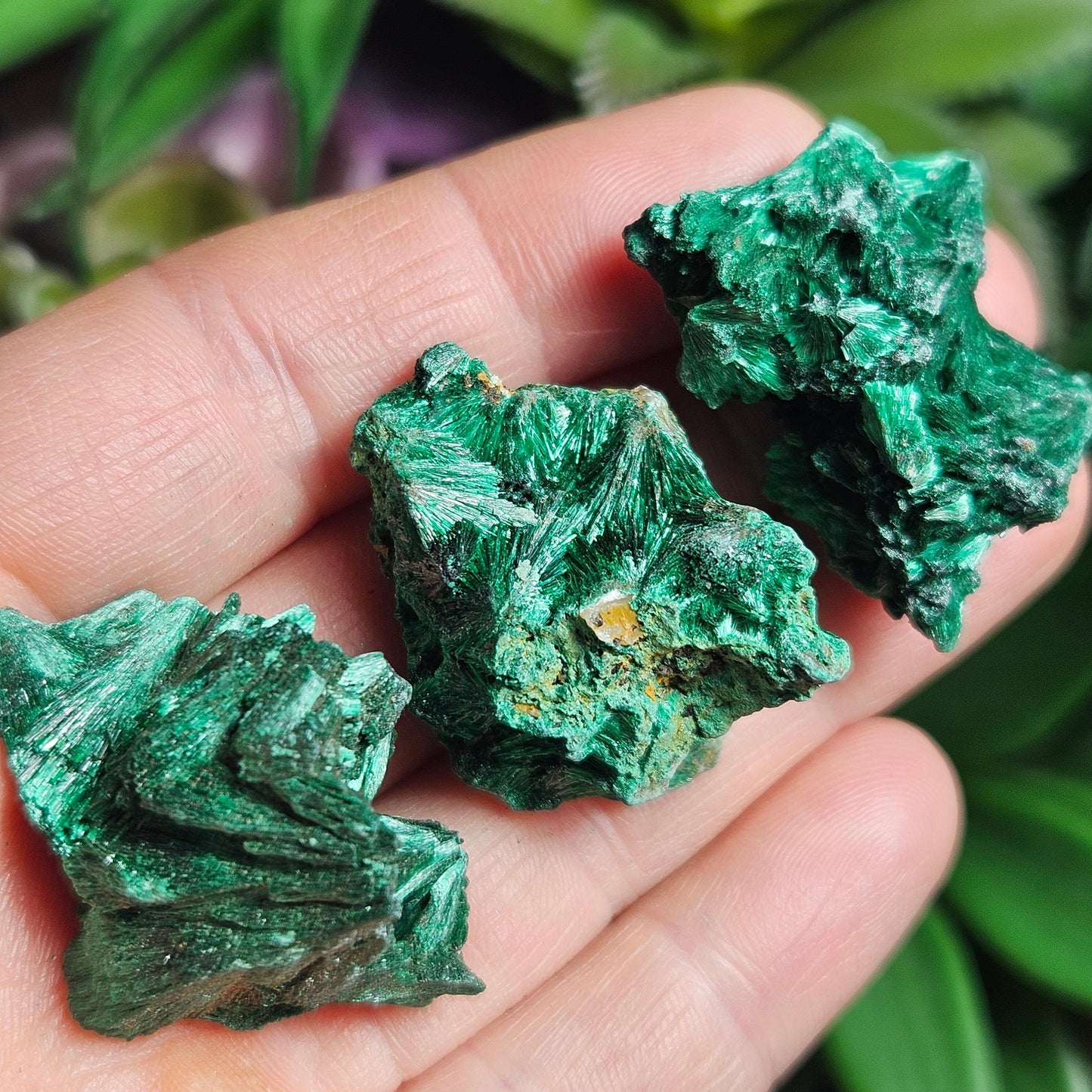 Fibrous Malachite