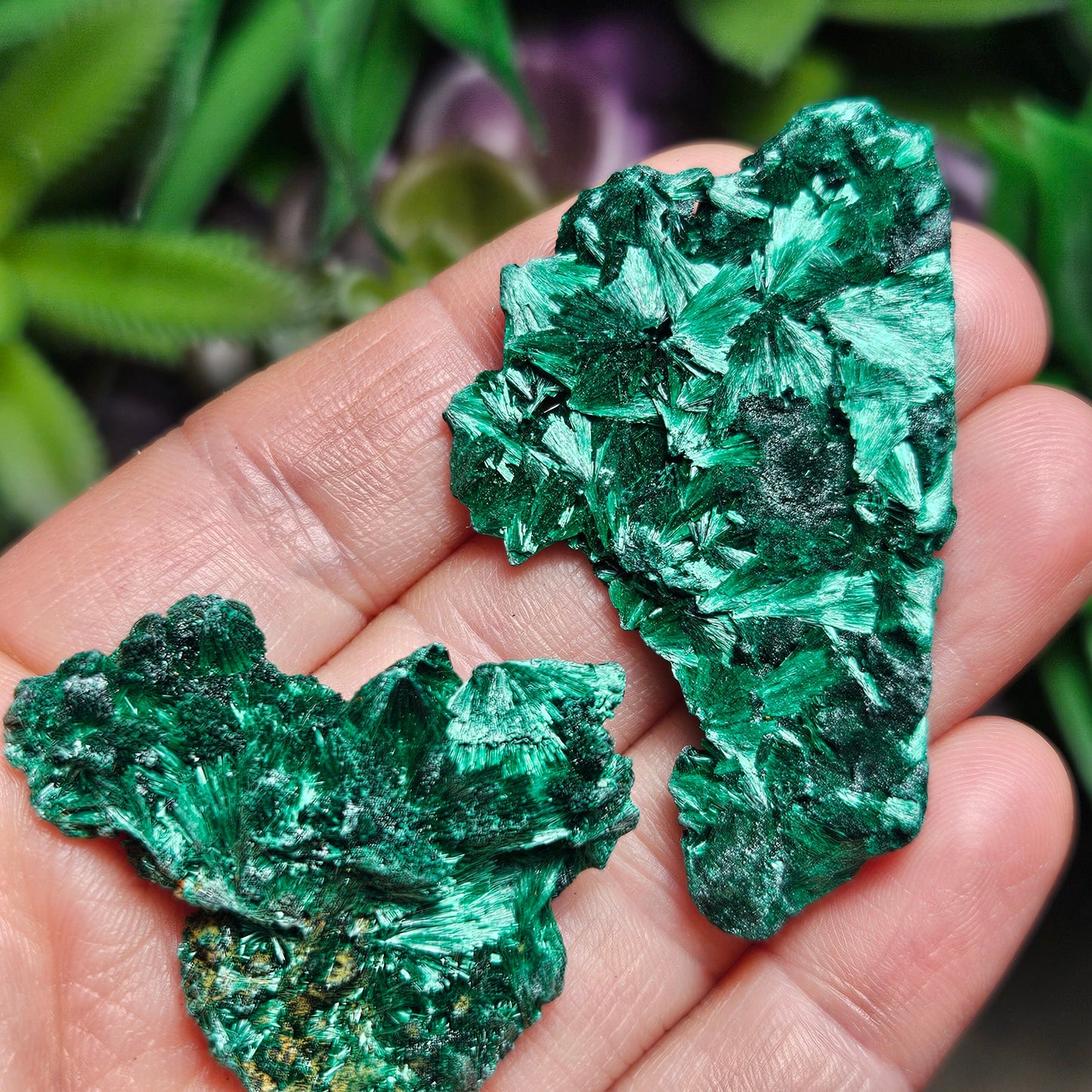 Fibrous Malachite