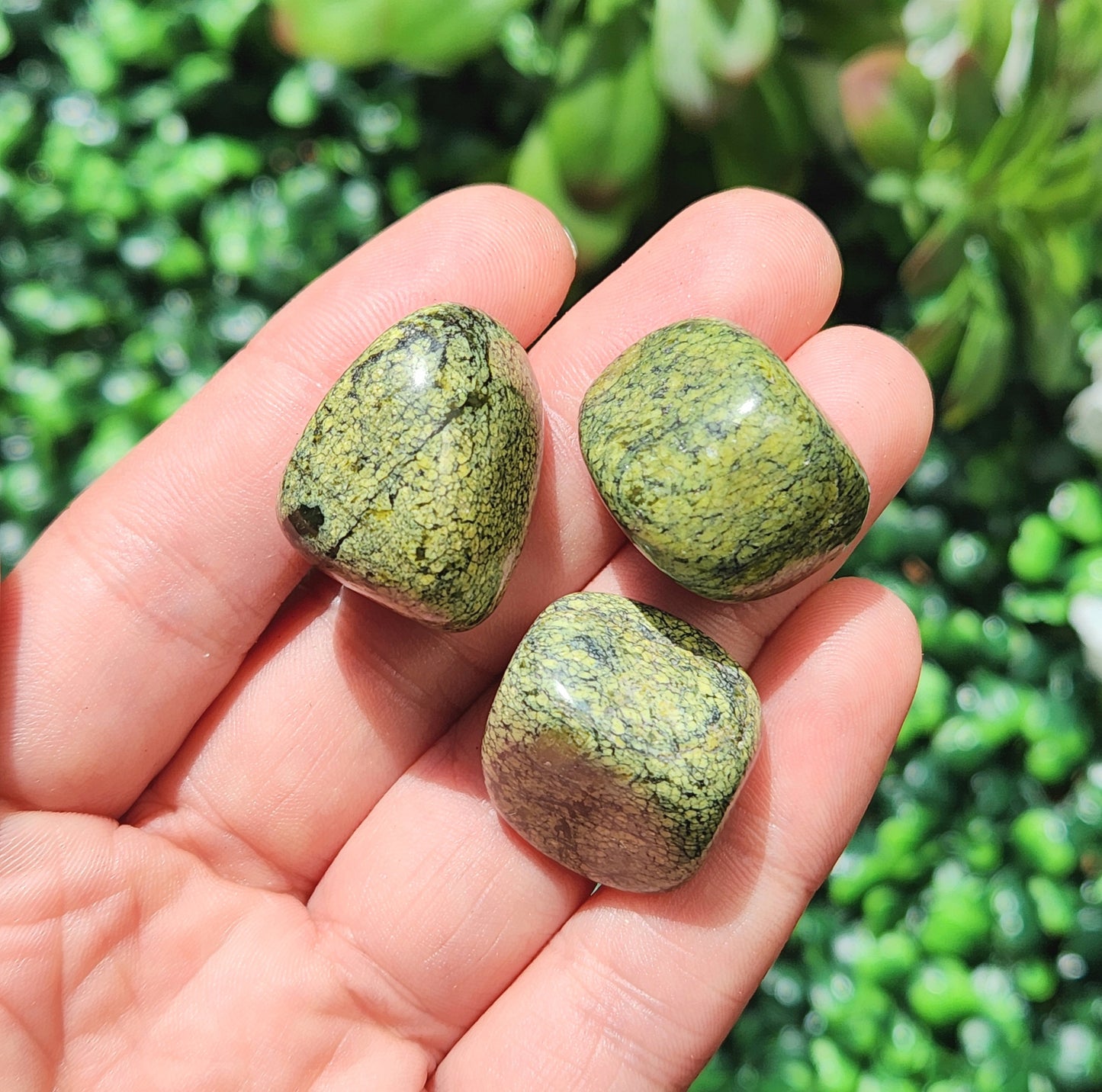 Asterite Serpentine