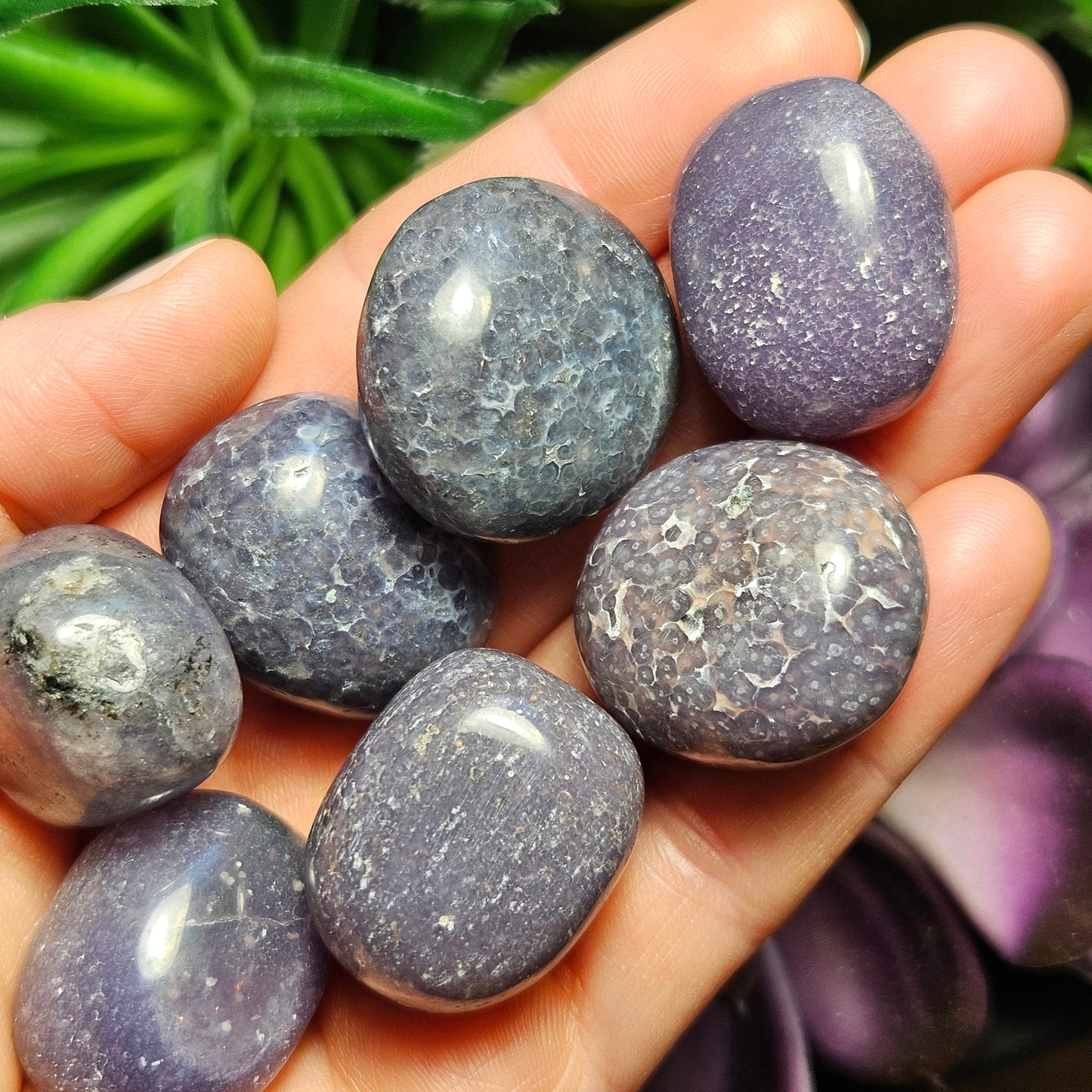 Purple Grape Agate