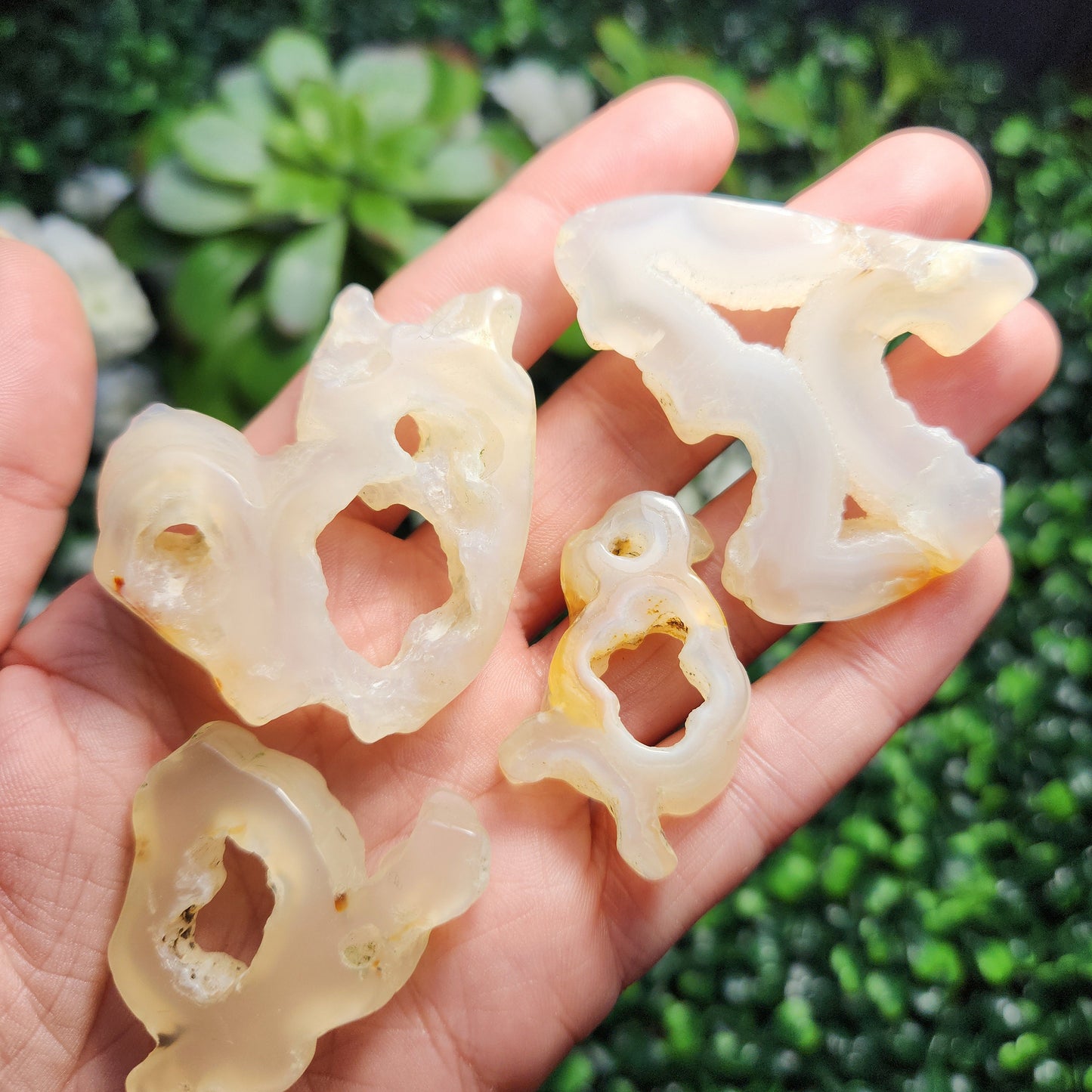 Bamboo Agate with HOLE
